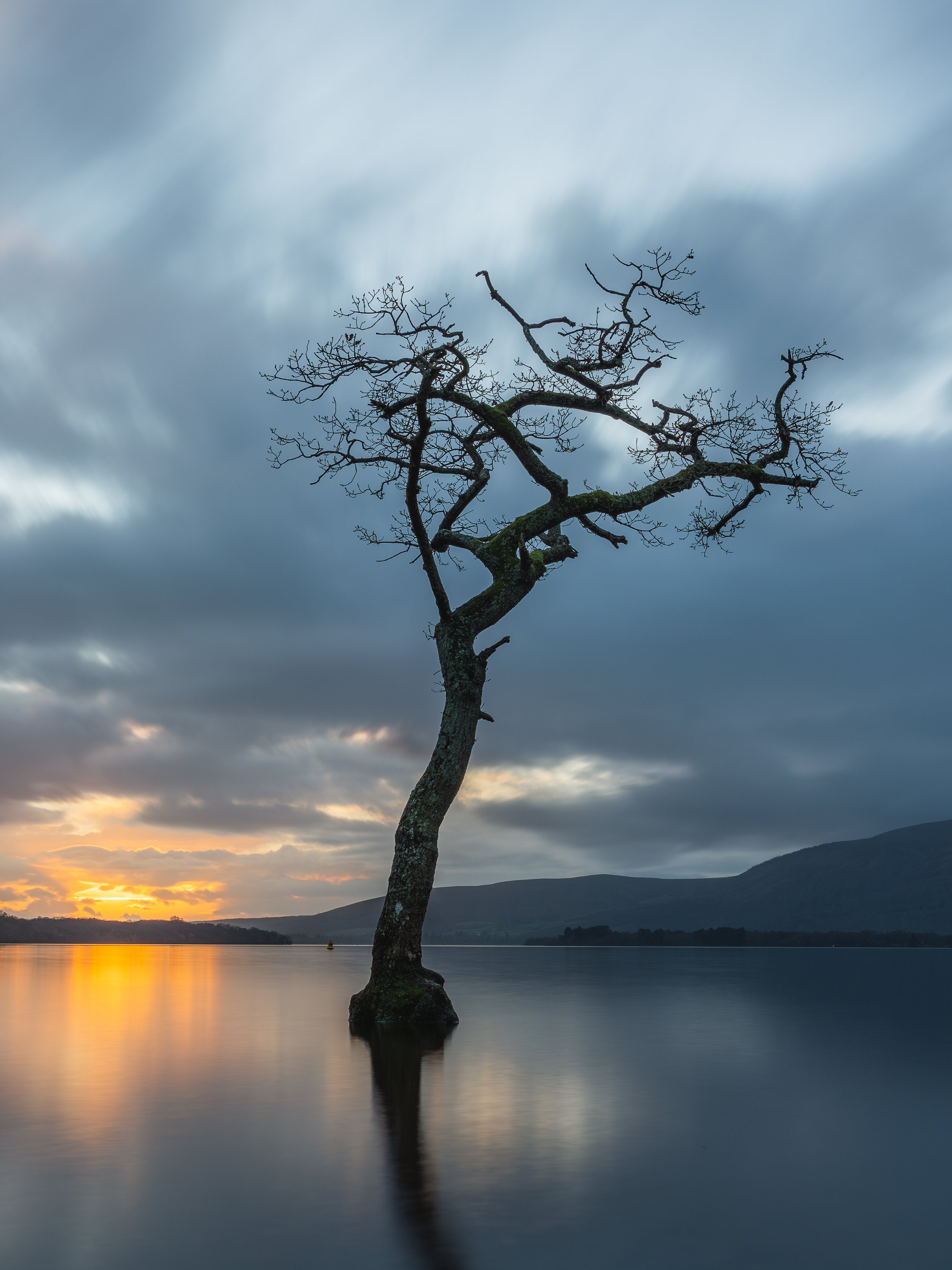 The Lone Tree at Milarrochy Bay at sunset.