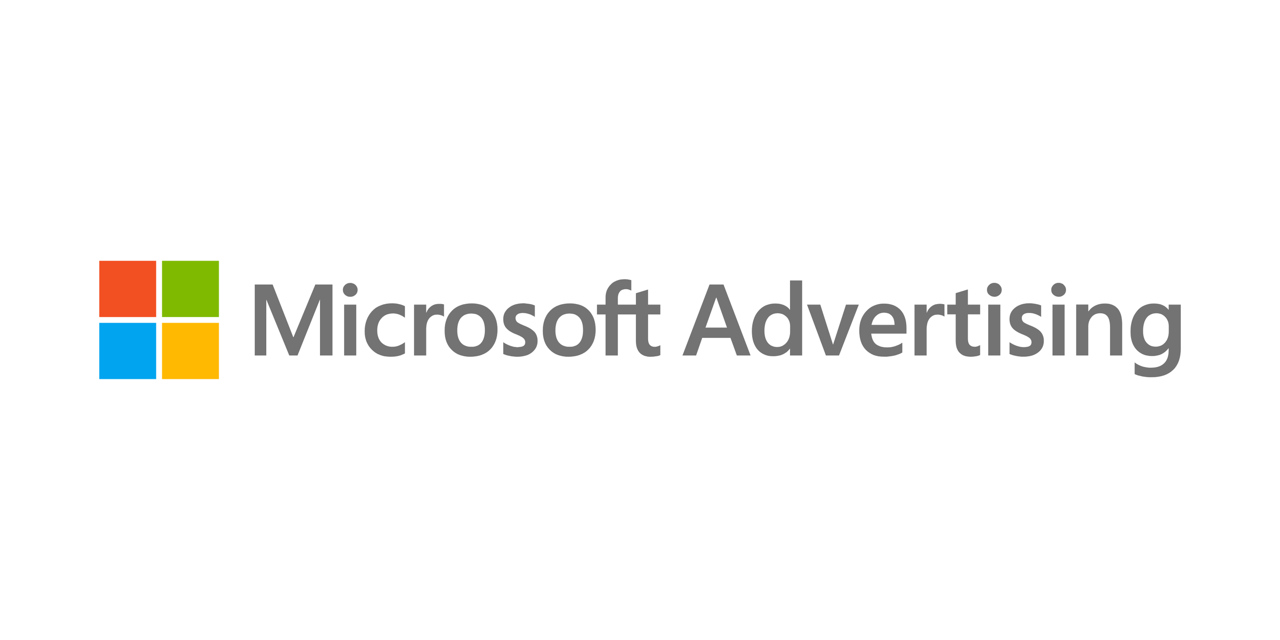 Microsoft Advertising - Big One Marketing