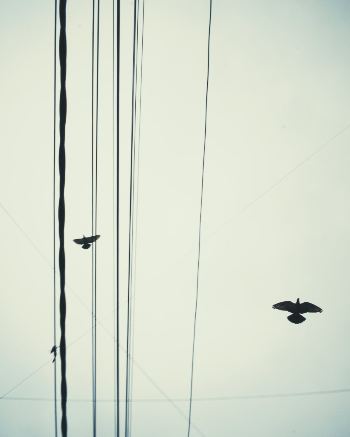 Photography x Five60