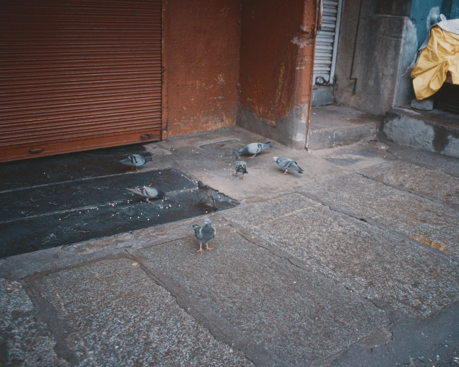 4_BWH0339-BP2025- Five60_Malleswaram PhotoWalk.jpeg