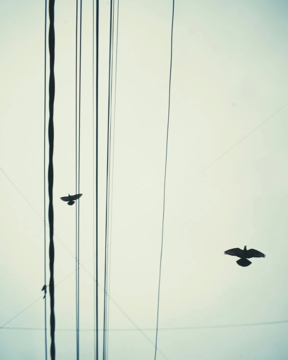 1_BWH0330-BP2025- Five60_Malleswaram PhotoWalk.jpeg