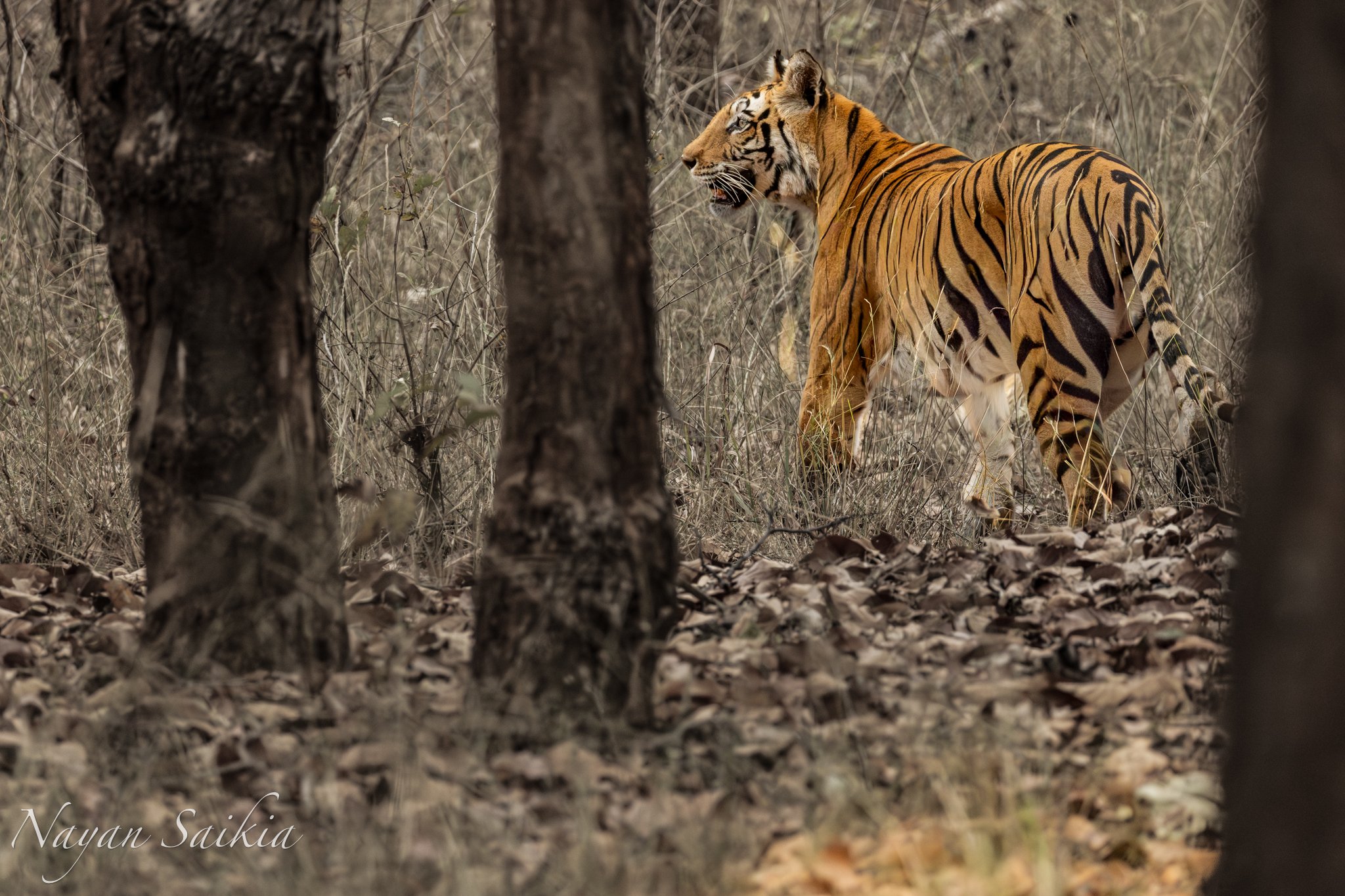 0C4A0749-Edit-2-2.jpg