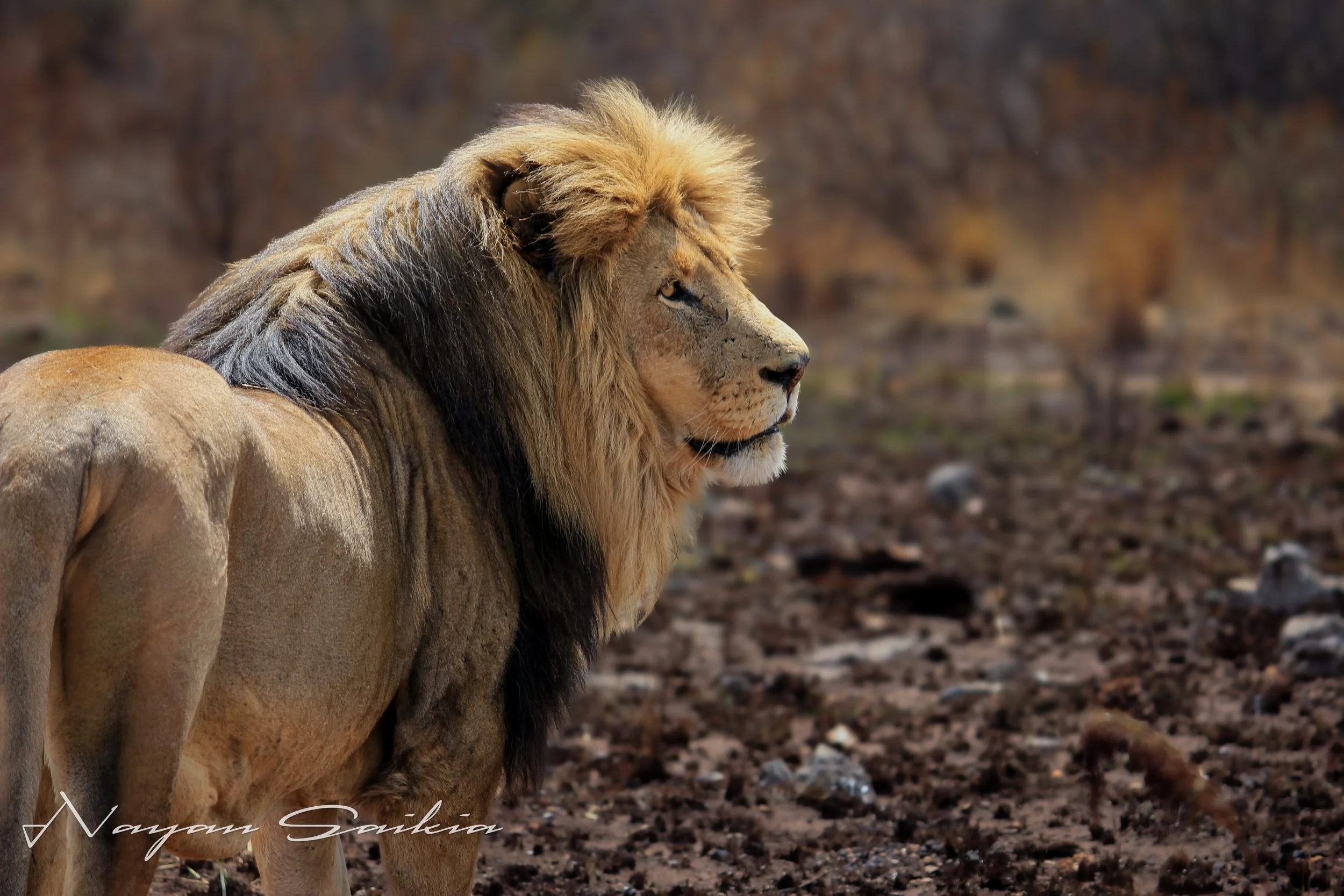 IMG_0499-Edit-2.jpg