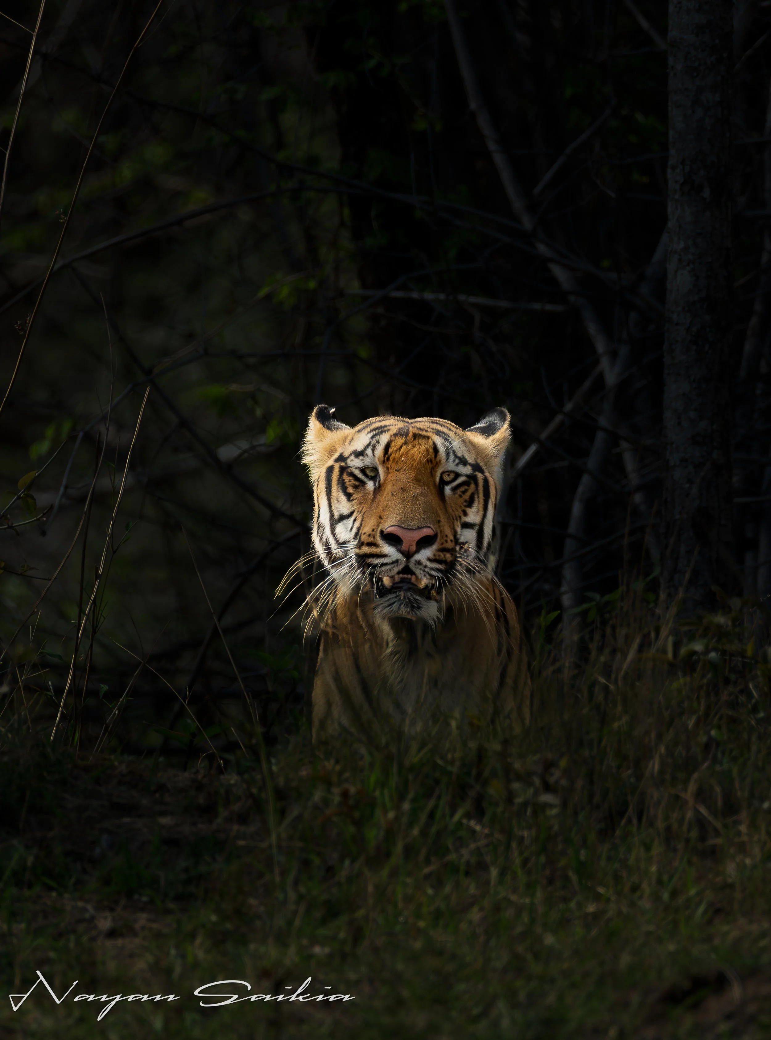 0C4A0979-Edit-2.jpg