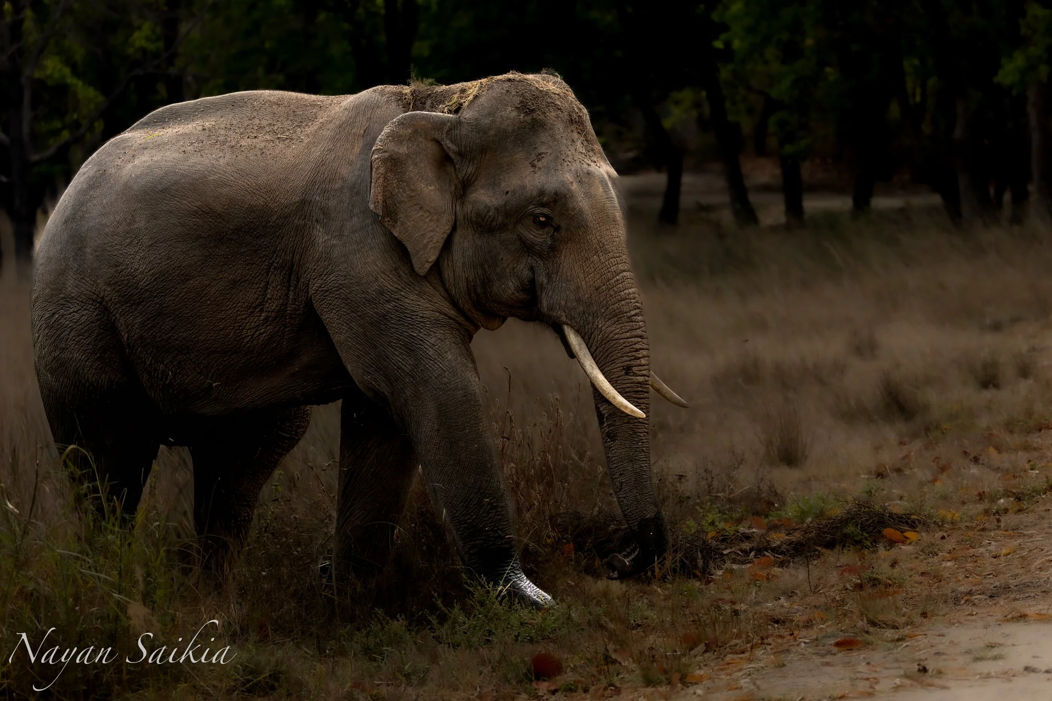 0C4A0159-Edit-2-2.jpg