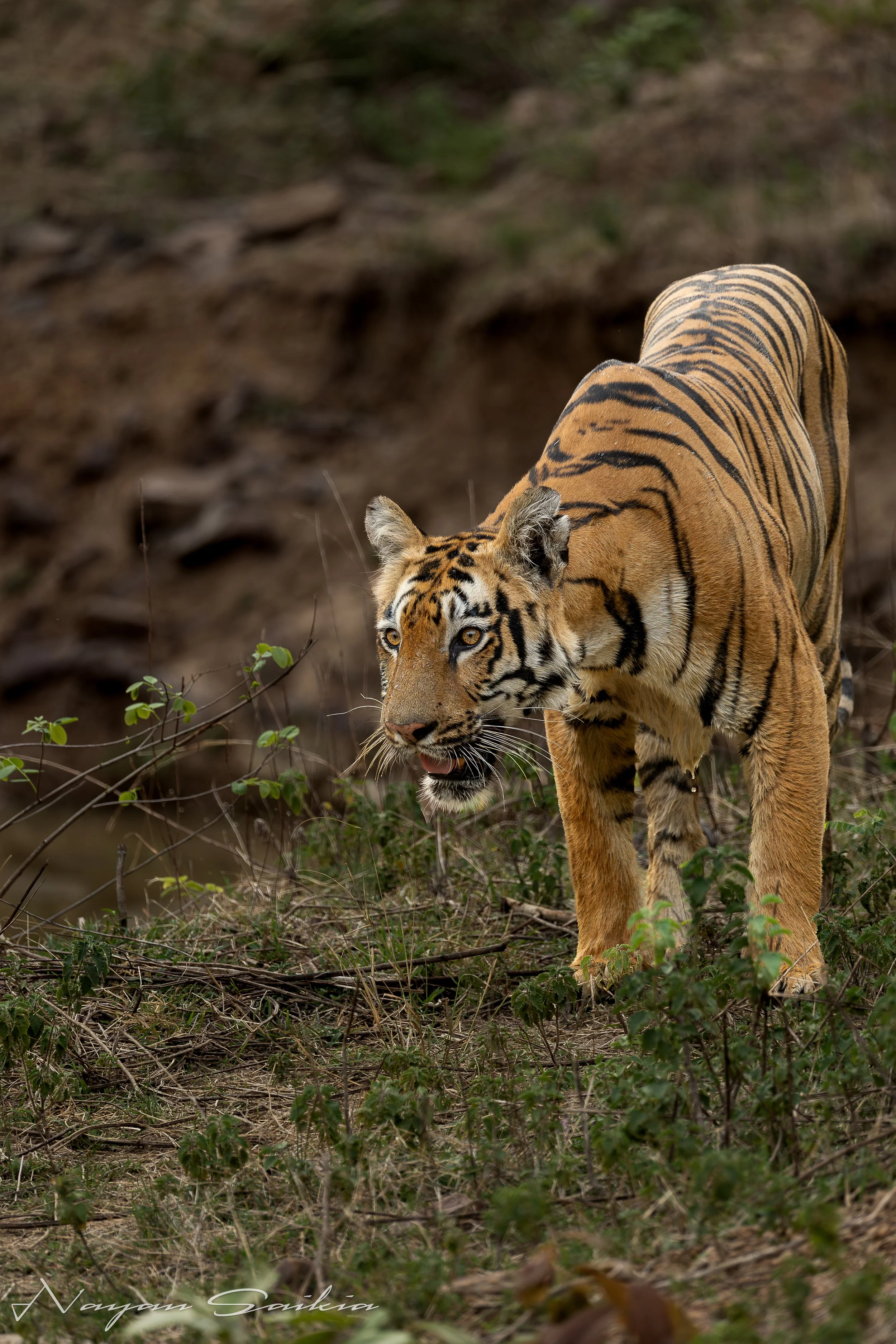 0C4A1216-Edit-2.jpg