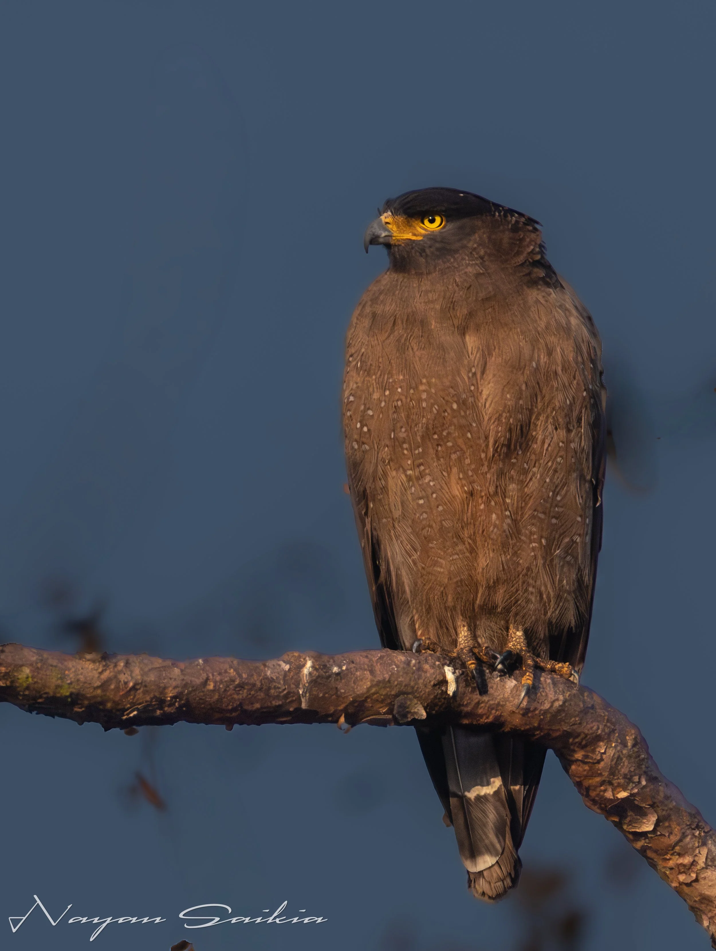 214A0400-Edit.jpg