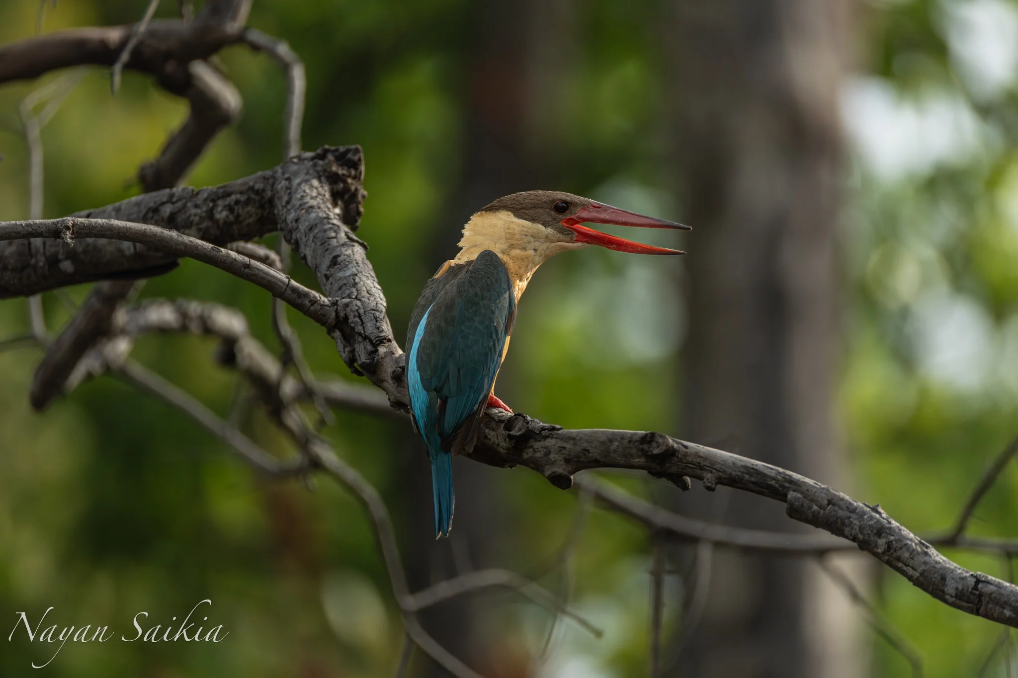 0C4A0801-Edit-3.jpg