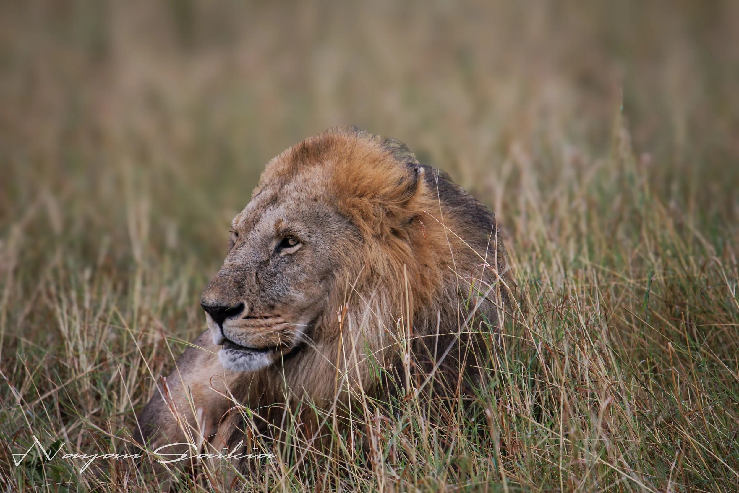IMG_0730-Edit.jpg