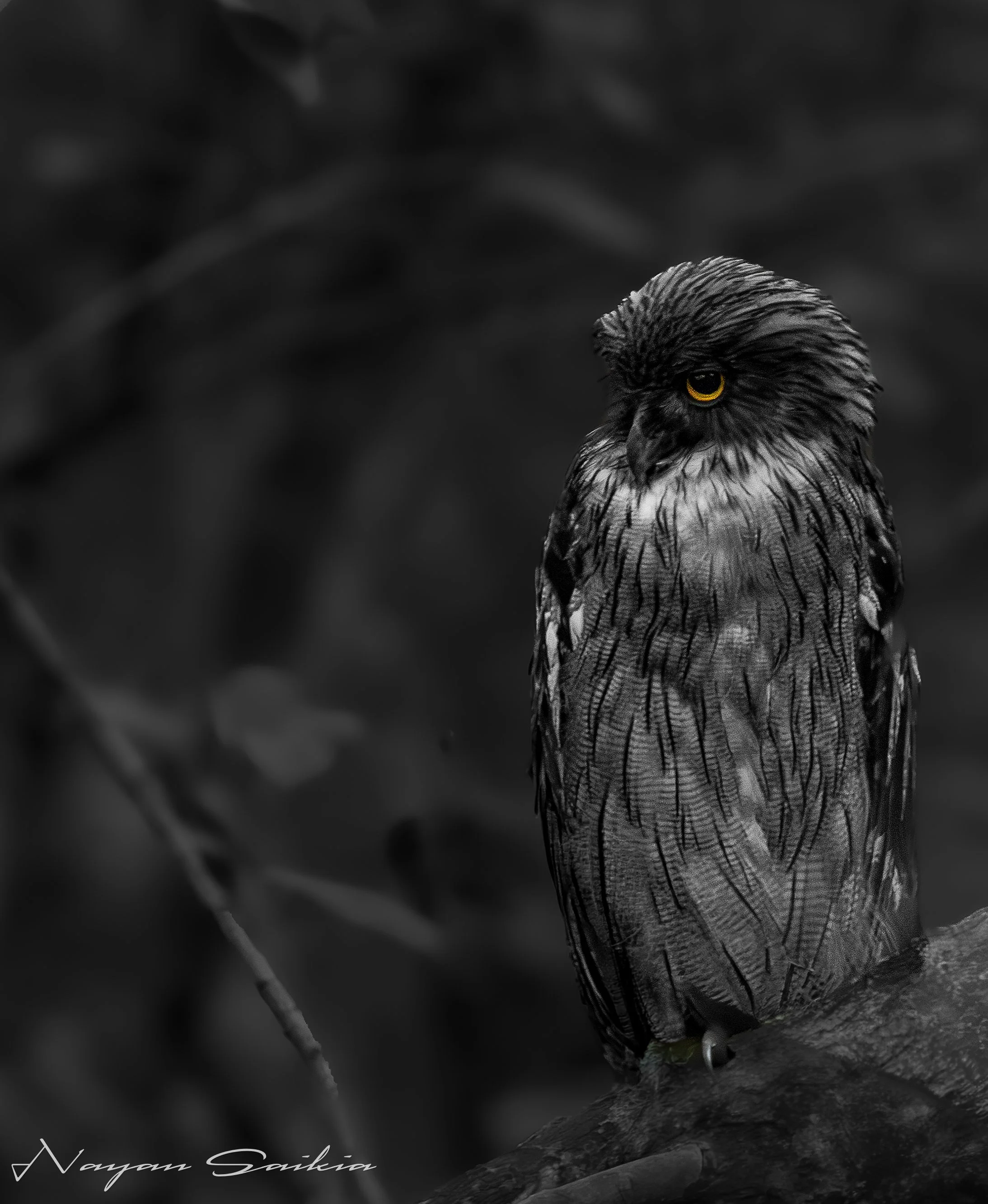 0C4A1335-Edit-2.jpg