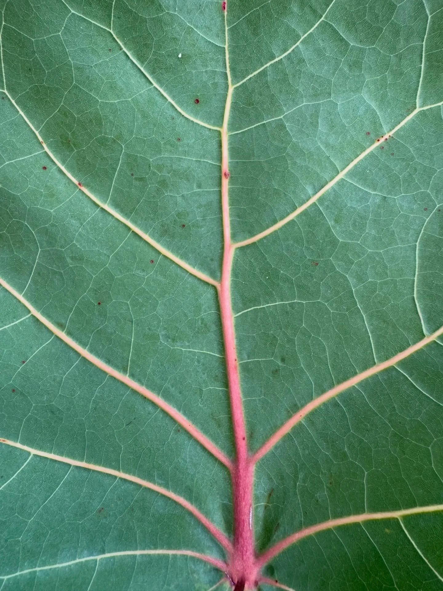 Matchy matchy. 🩷💚