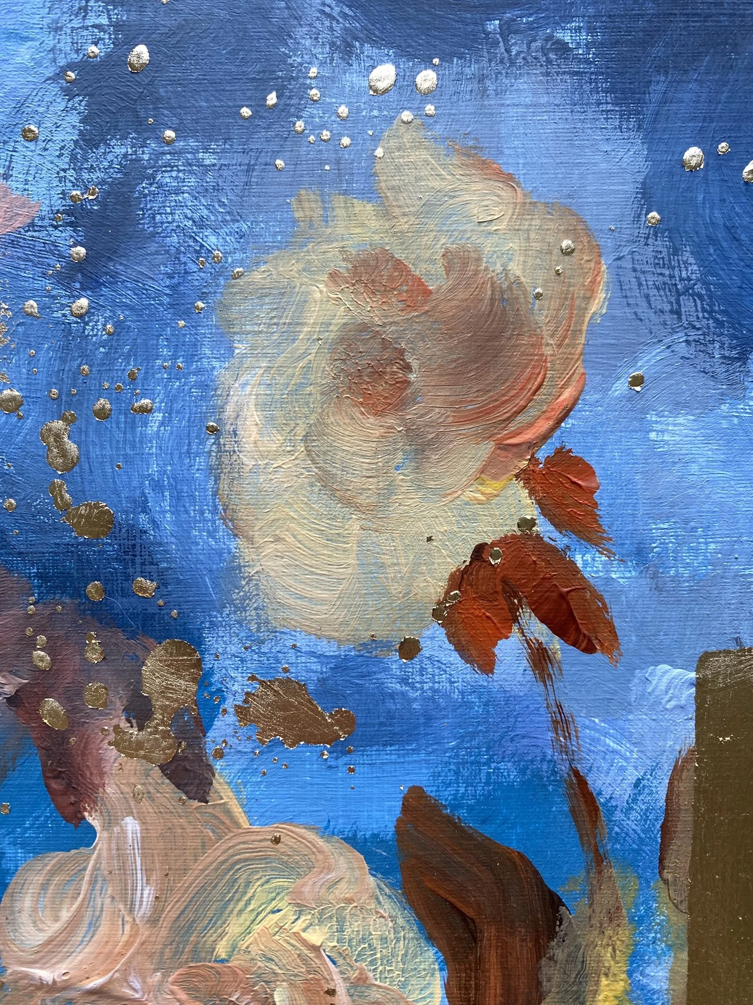 Shizico yi Night Roses Rosarian-2026 (15).JPEG