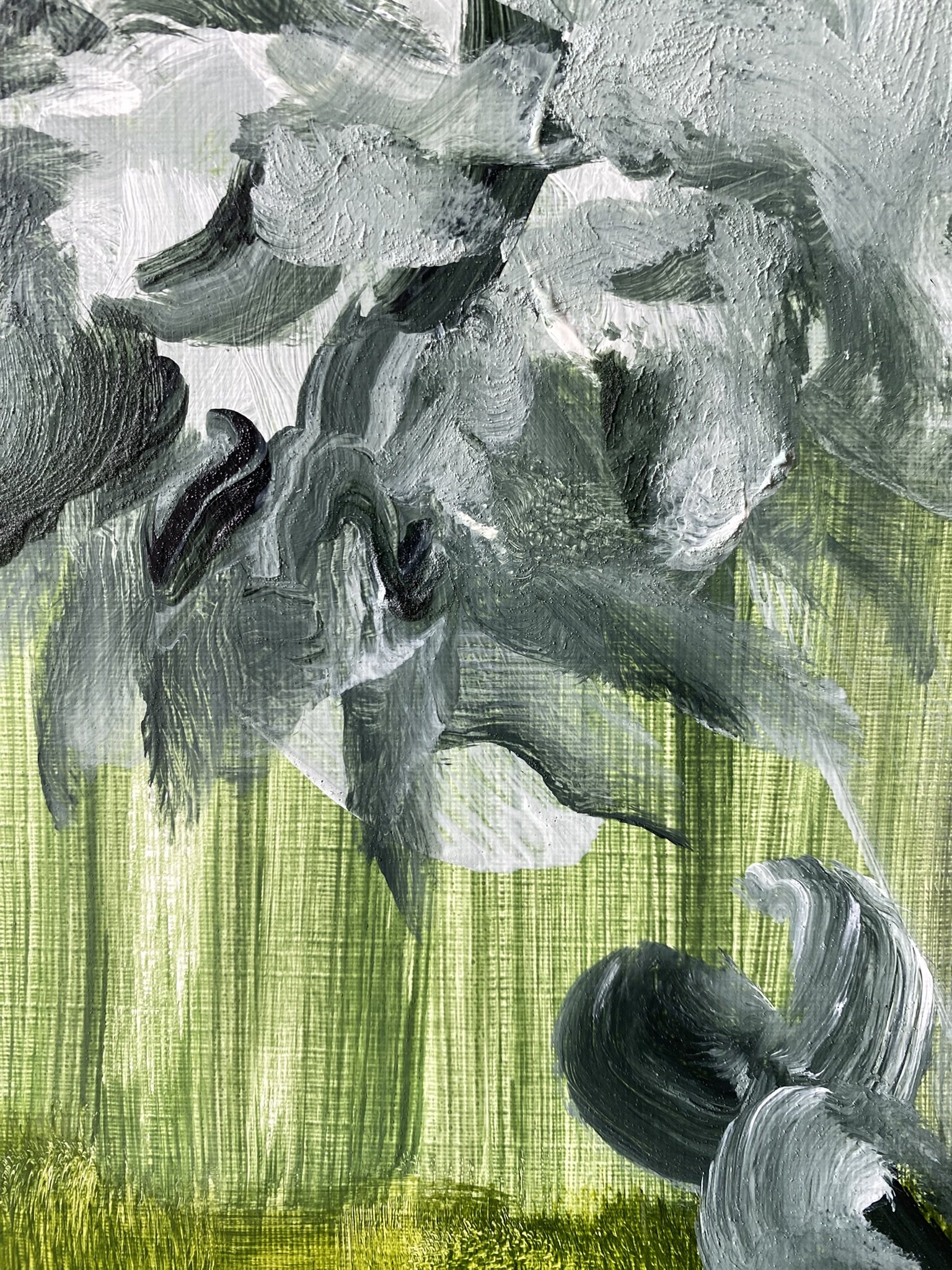 Shizico yi Summer Peony 2026  (20).JPEG