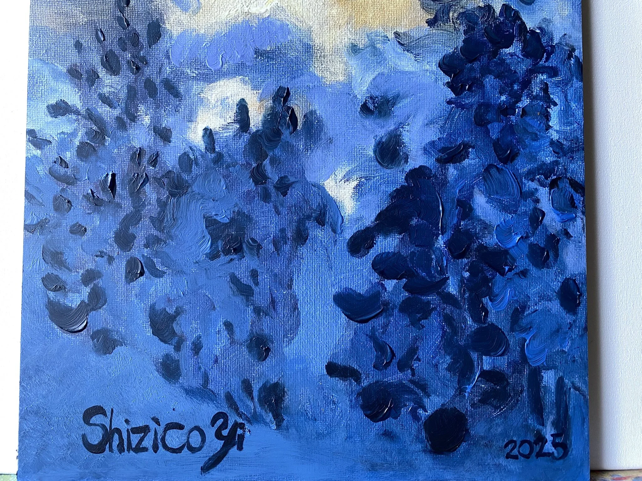 sunset song blue edition (15).JPEG