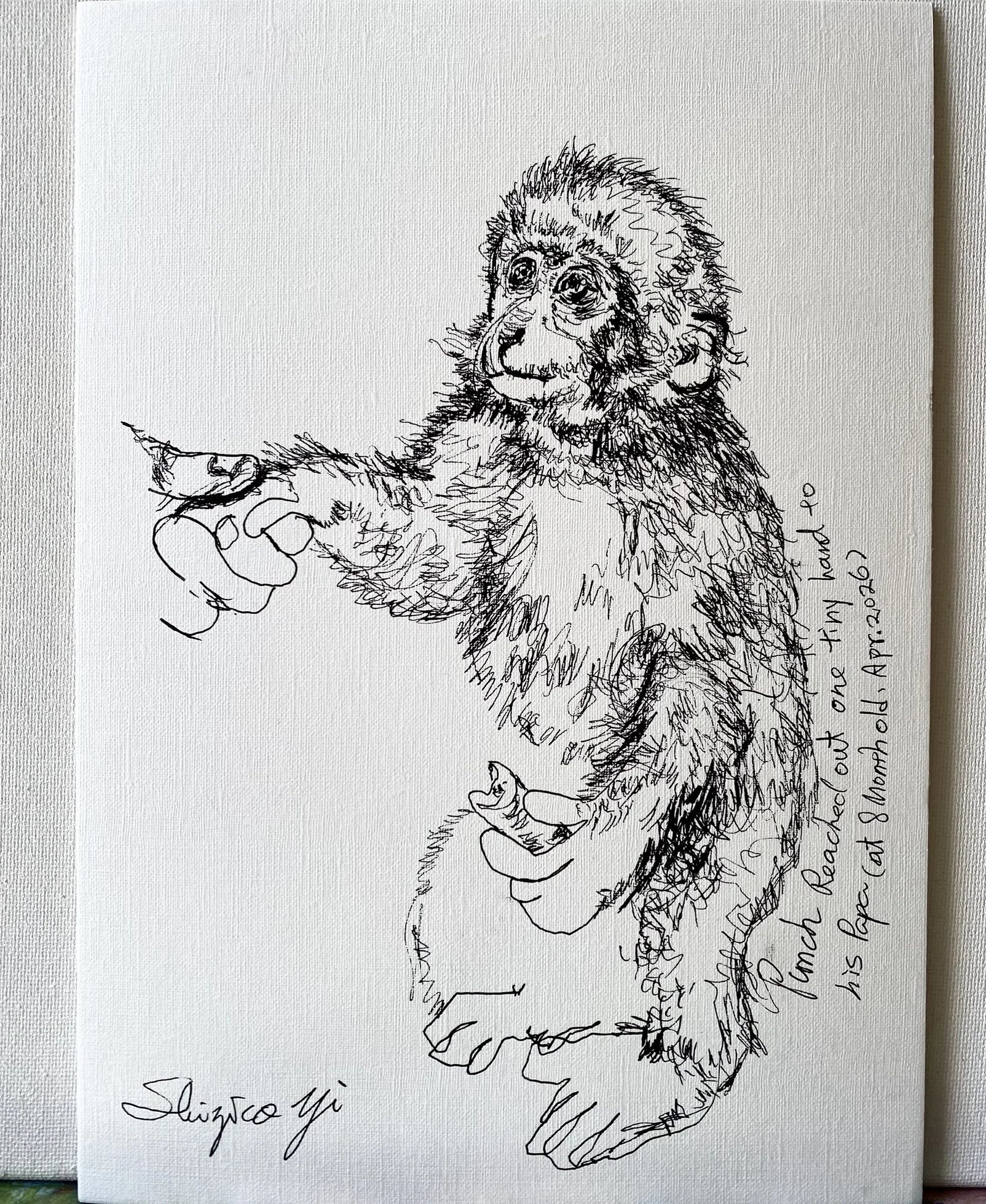 Punch Diary tiny hand april 2026-Shizico Yi -ink on paper series 2026 (2).JPEG