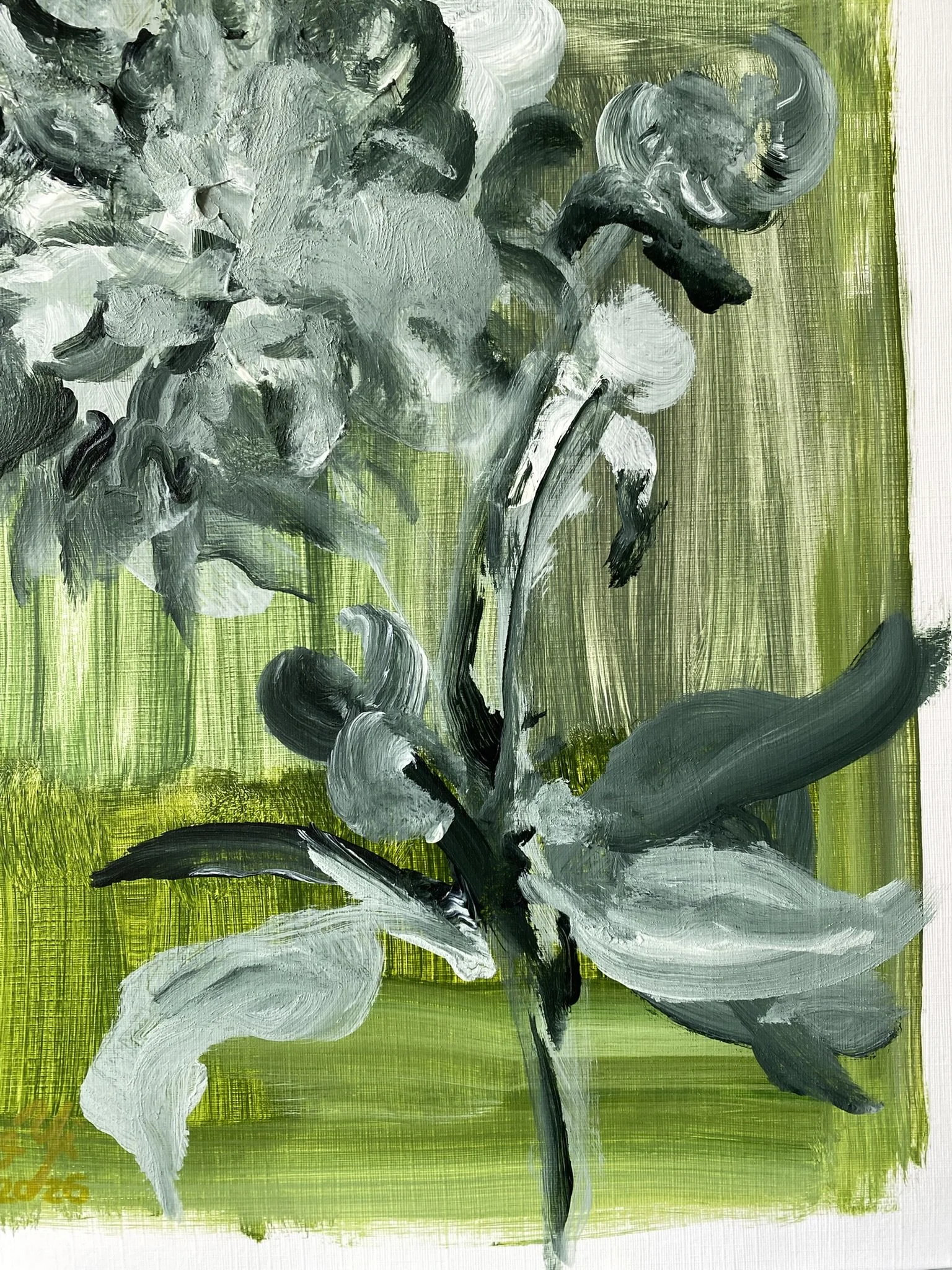Shizico yi Summer Peony 2026  (24).JPEG