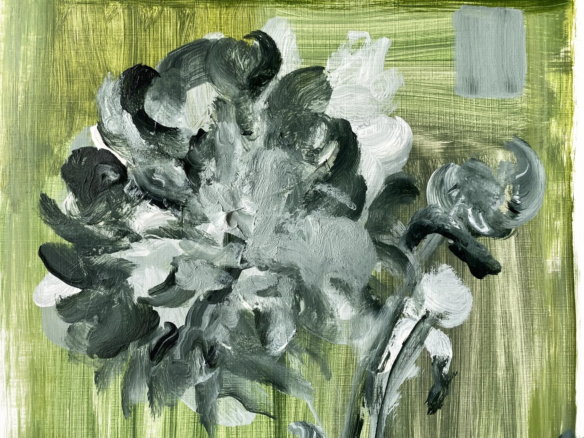 Shizico yi Summer Peony 2026  (22).JPEG