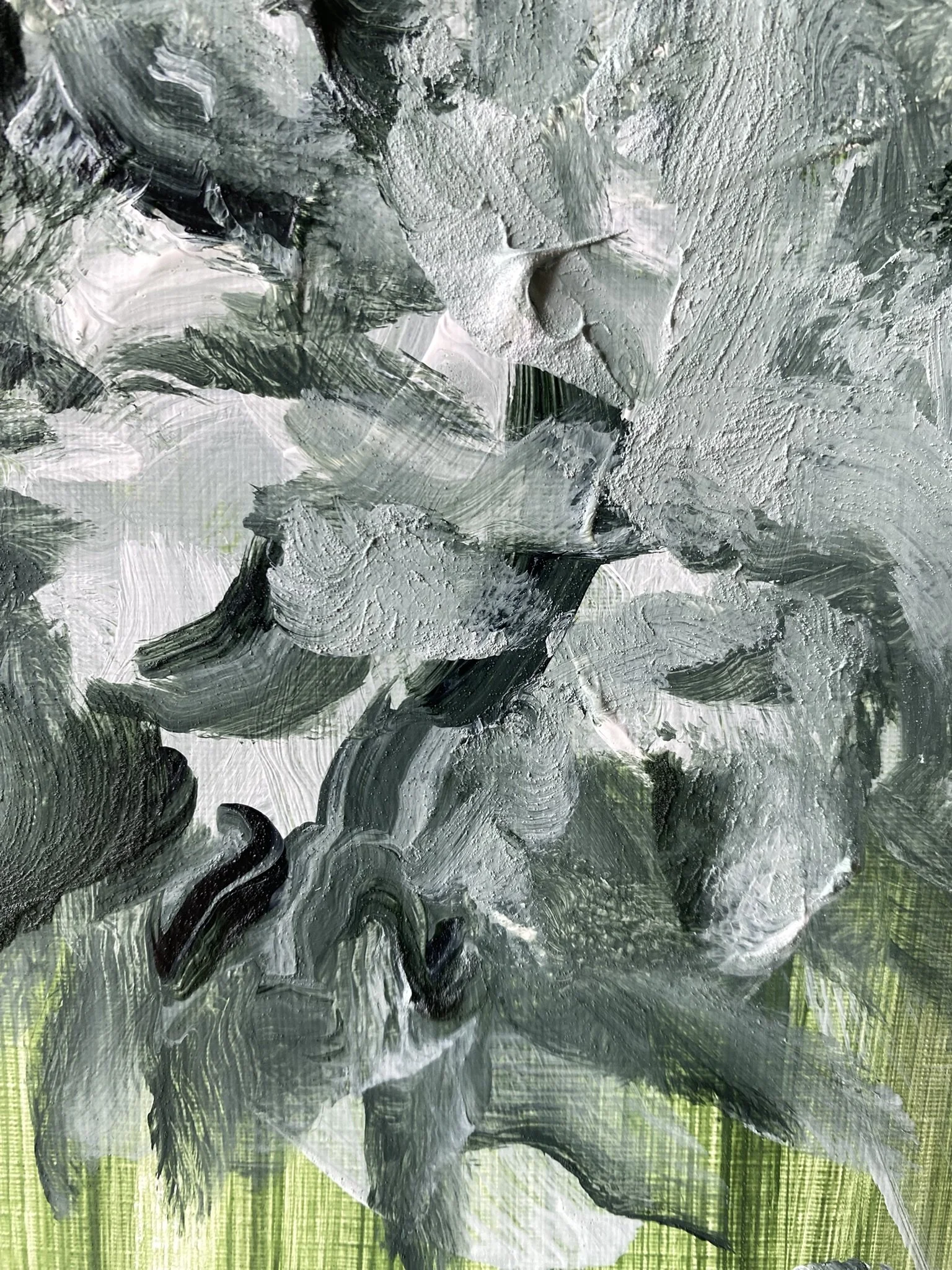 Shizico yi Summer Peony 2026  (13).JPEG