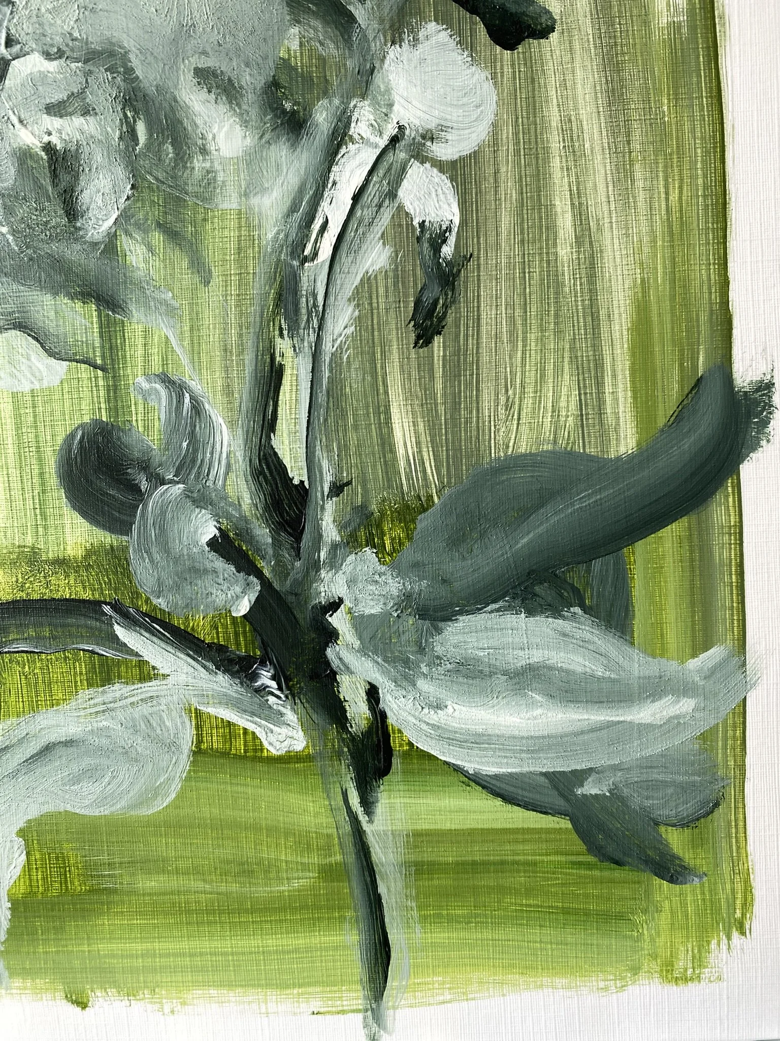 Shizico yi Summer Peony 2026  (9).JPEG