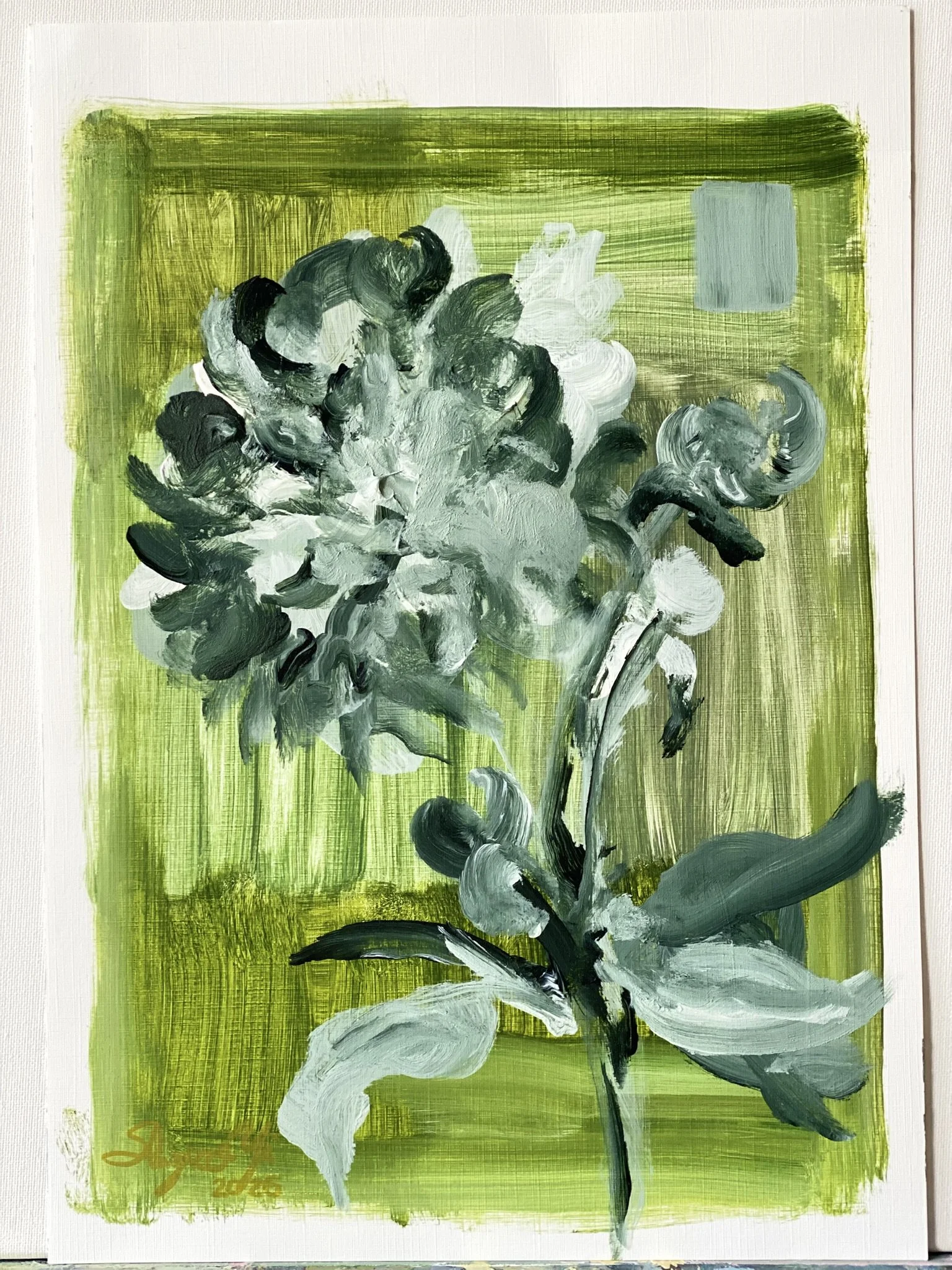Shizico yi Summer Peony 2026  (1).JPEG