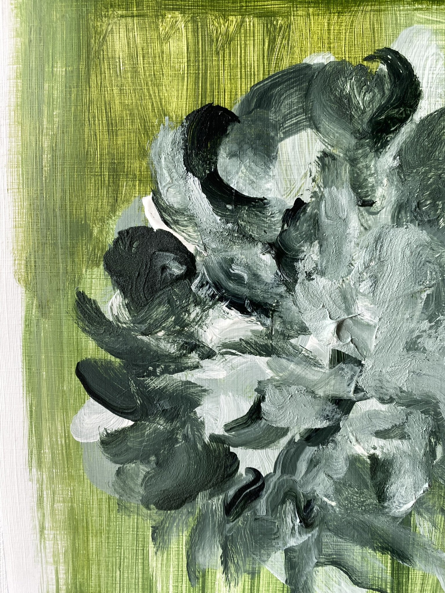 Shizico yi Summer Peony 2026  (4).JPEG