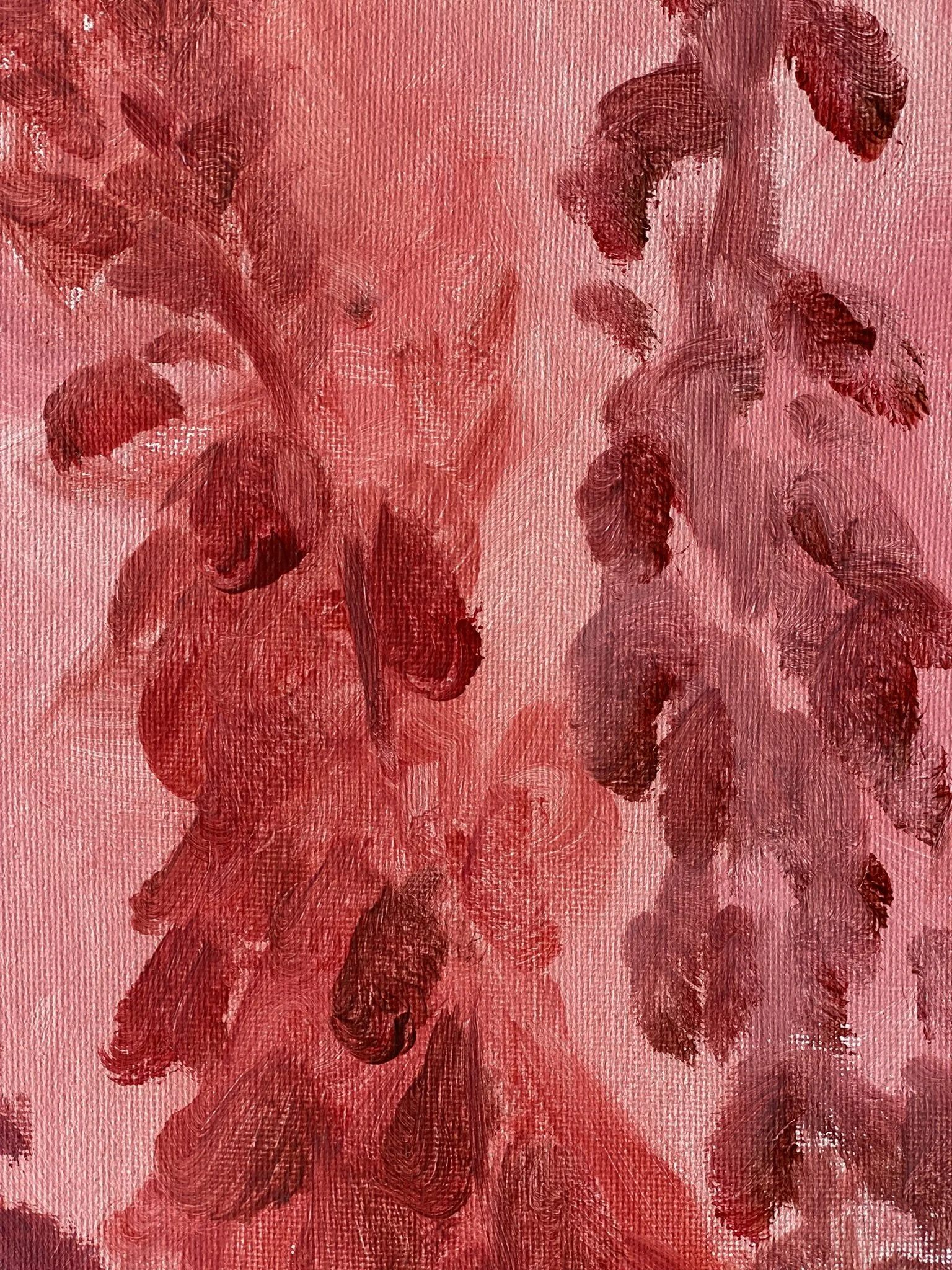 IMG_8281.JPEG (Copy)