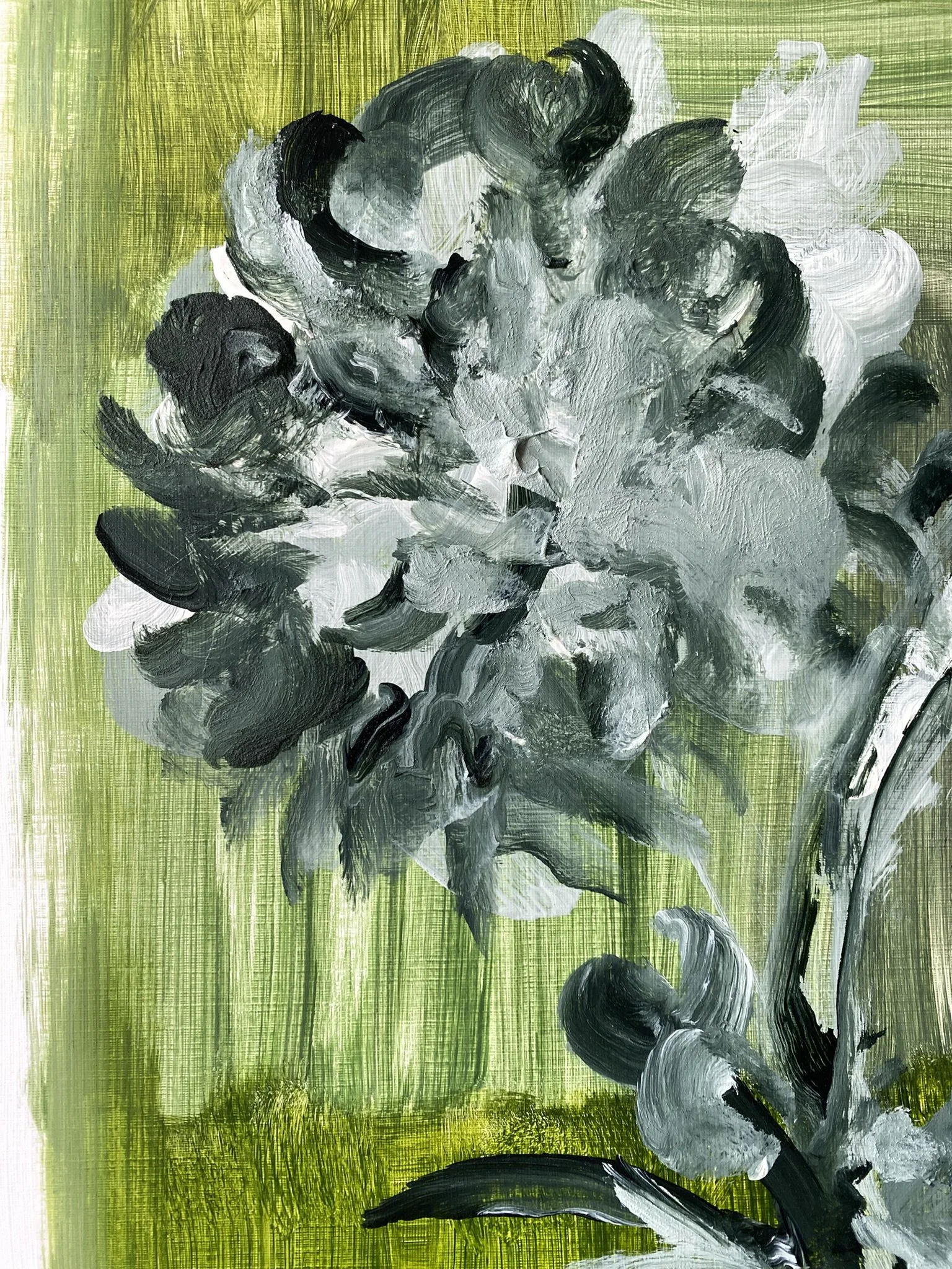 Shizico yi Summer Peony 2026  (25).JPEG