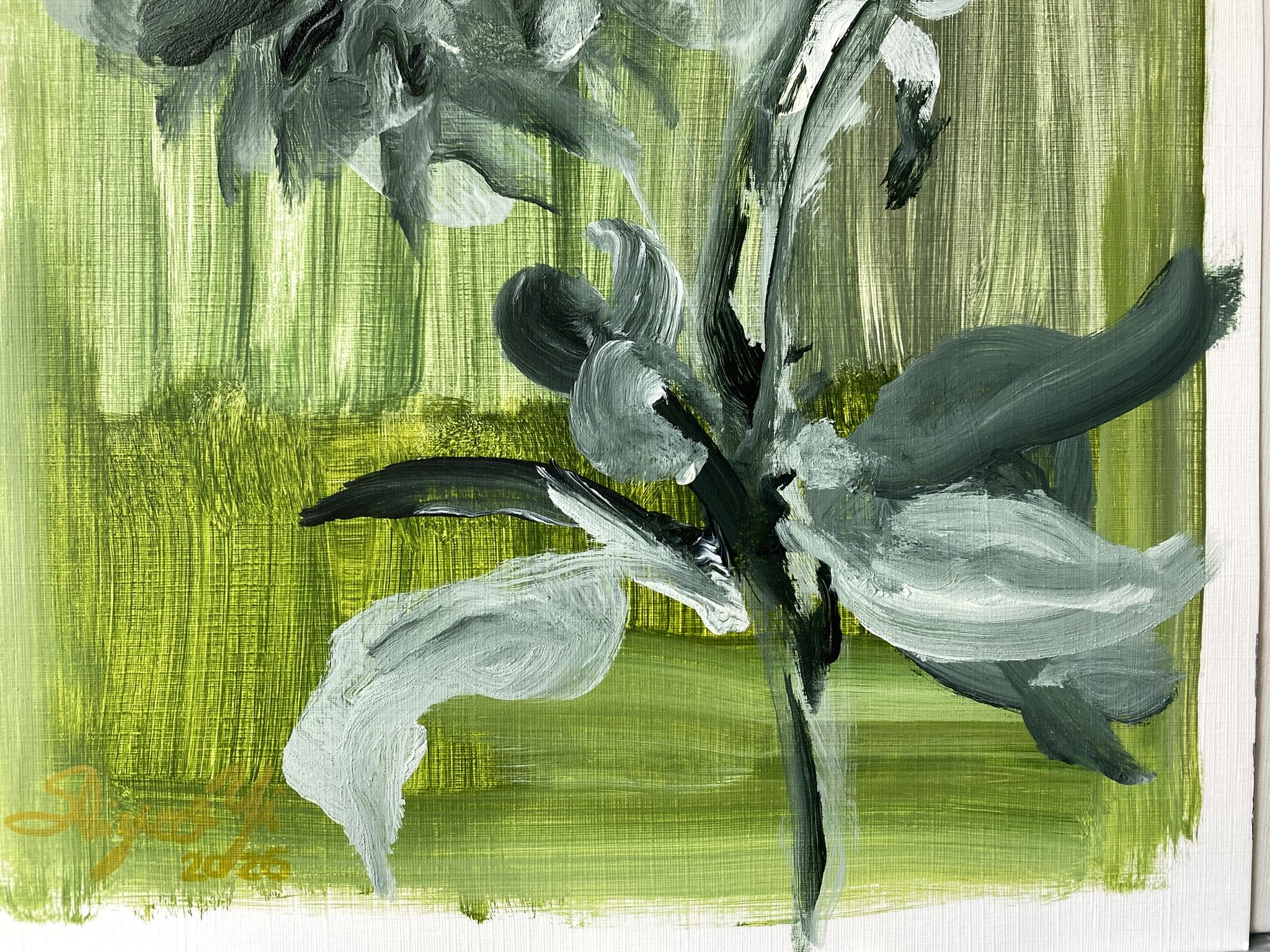 Shizico yi Summer Peony 2026  (23).JPEG