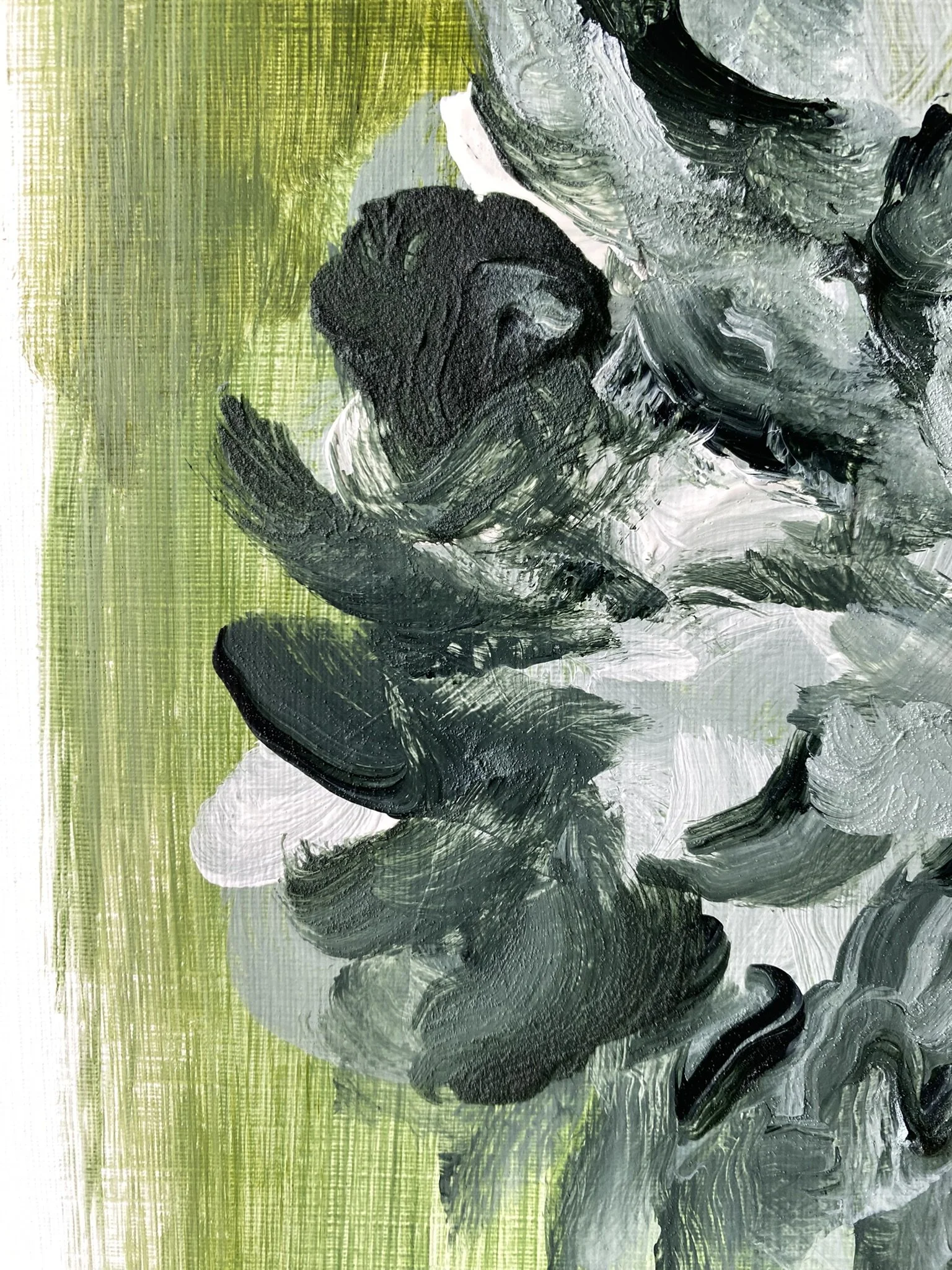 Shizico yi Summer Peony 2026  (11).JPEG
