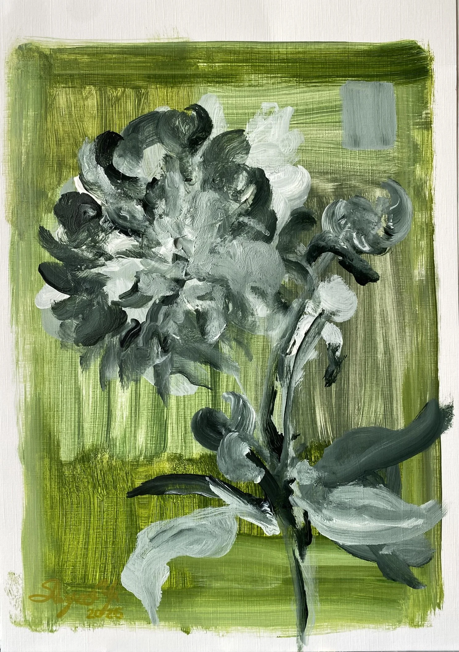 Shizico yi Summer Peony 2026  (2).JPEG