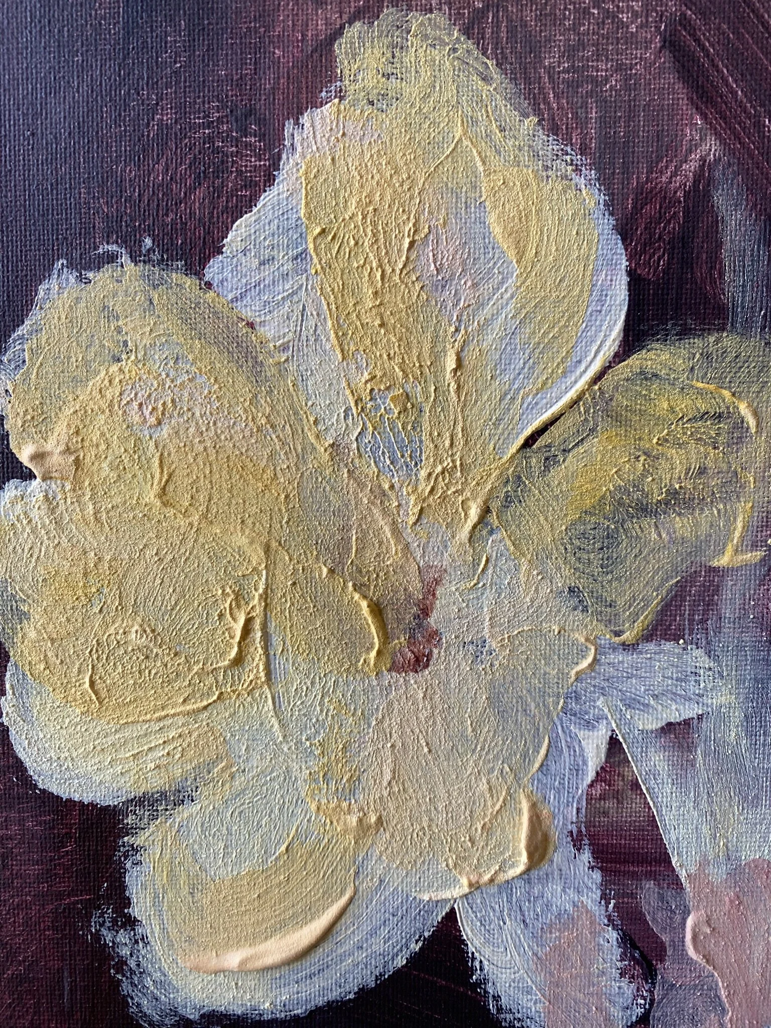 Jardin HVie series (9).JPEG