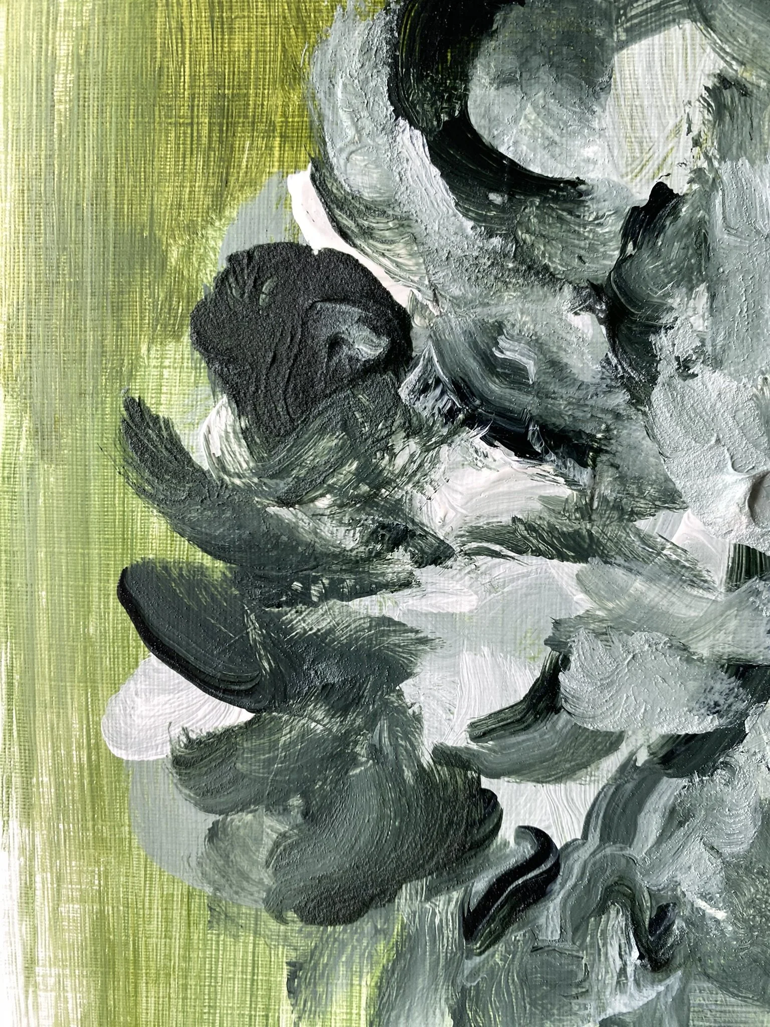 Shizico yi Summer Peony 2026  (19).JPEG