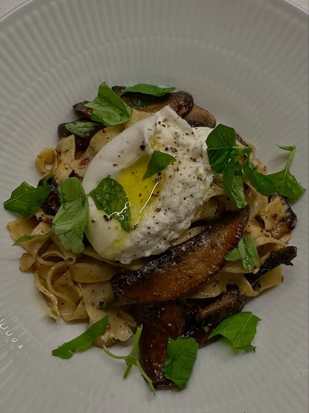 Hjemmelavet pasta m. svampe &amp; burrata
