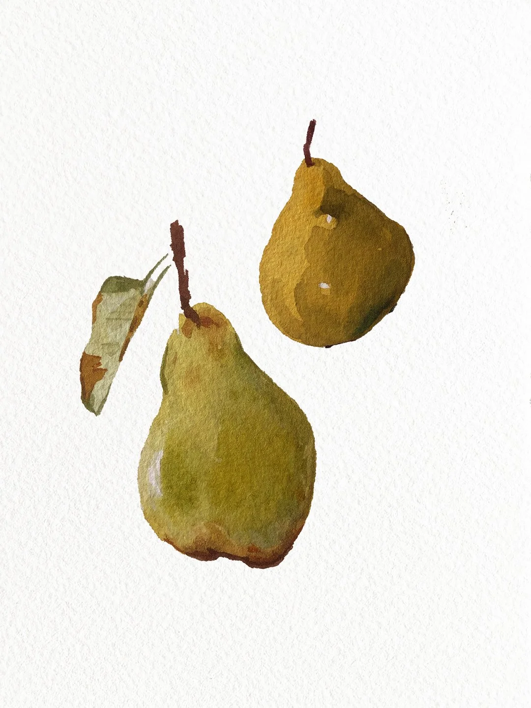 Deux poires vertes, l'une avec une feuille attachée, illustrées dans un style aquarelle.