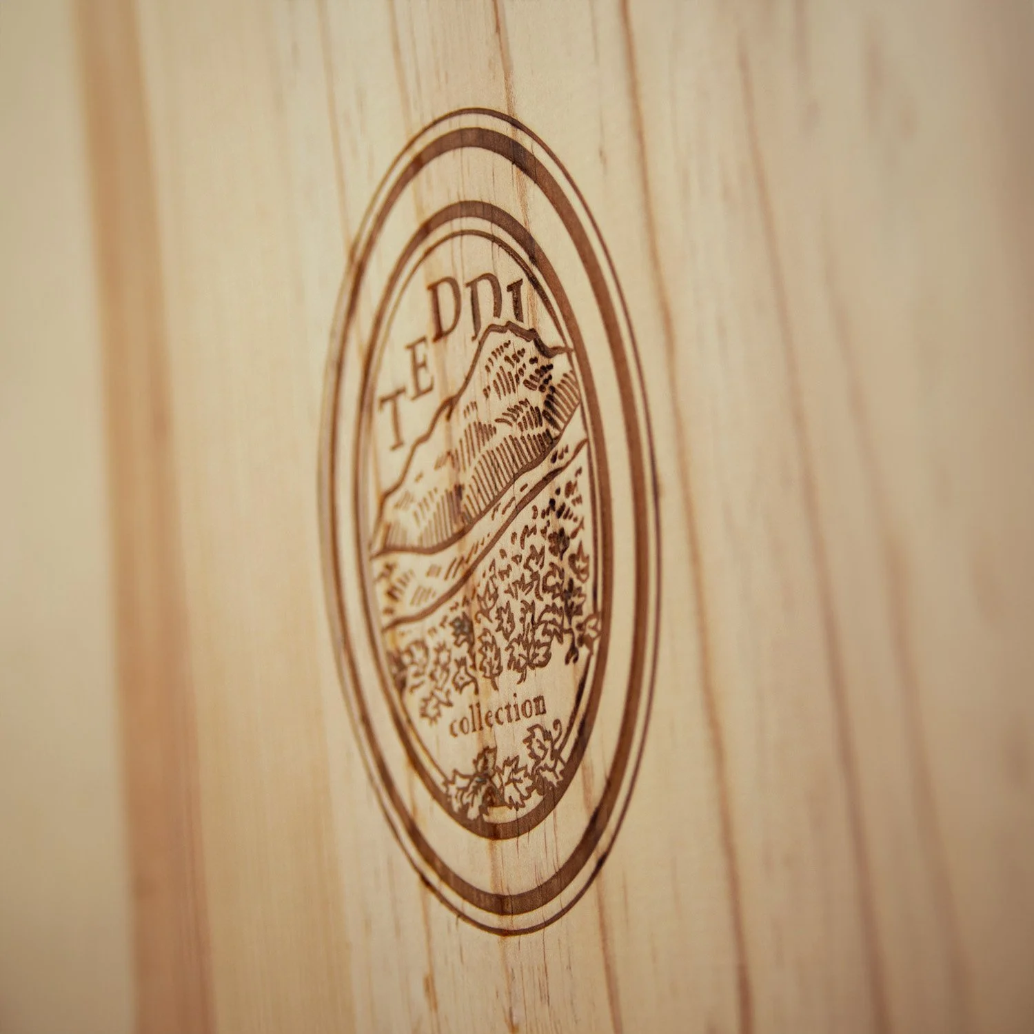 WILD BRANCH_PROJECTS_teddi collection_BRANDING.jpg