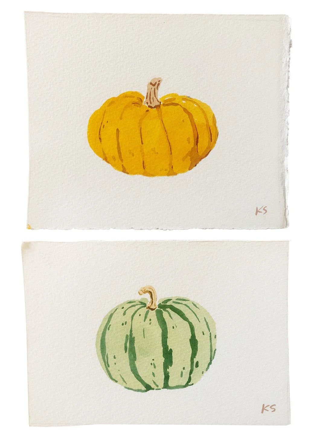 Deux illustrations de citrouilles, une orange en haut et une verte en bas, toutes deux peintes à l'aquarelle.