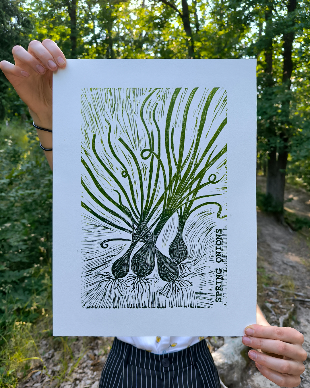 botanical illustration of sprouting spring onions, linoprinting and linocut illustration