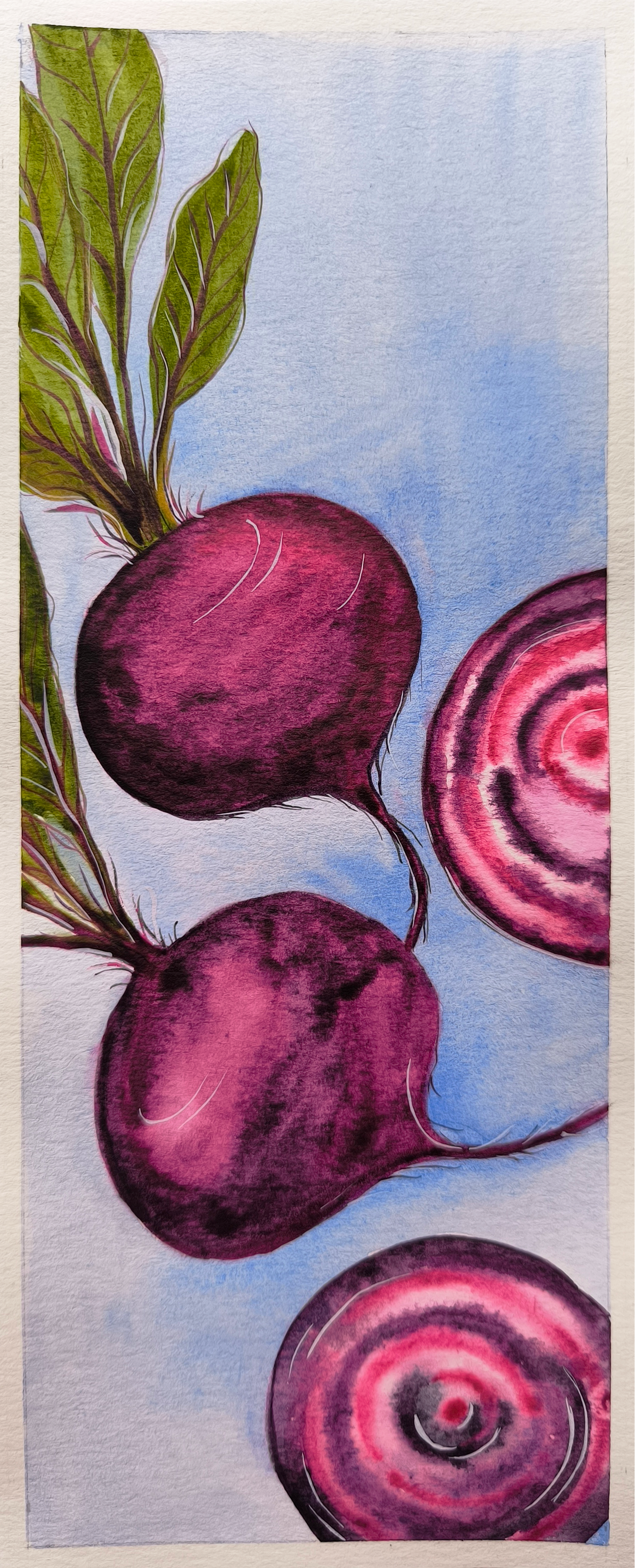 Watercolor painting of two purple beets with green leaves, and two cross-sections showing the beets' pink and purple concentric rings against a light blue background.