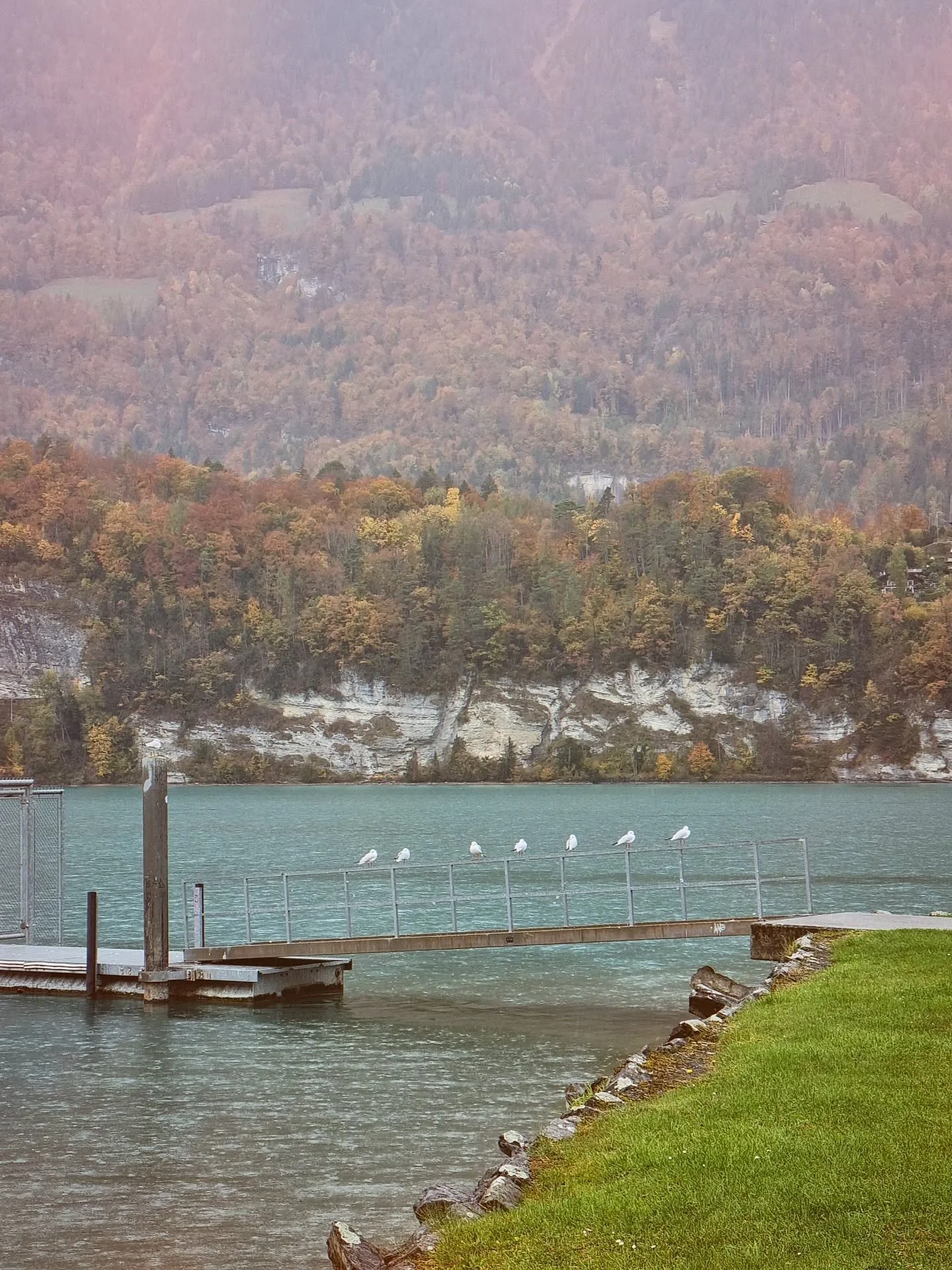 Pr&auml;sensperfekt
▪︎
#schriftsteller #lyrikgalerie #lyriker #mundartverlag #mundart #depressionhelp #philosophie #psychologie #bern #bernerlyrik #poesie #poetry #nachdenken #schriftst&uuml;ck #texte #texter
