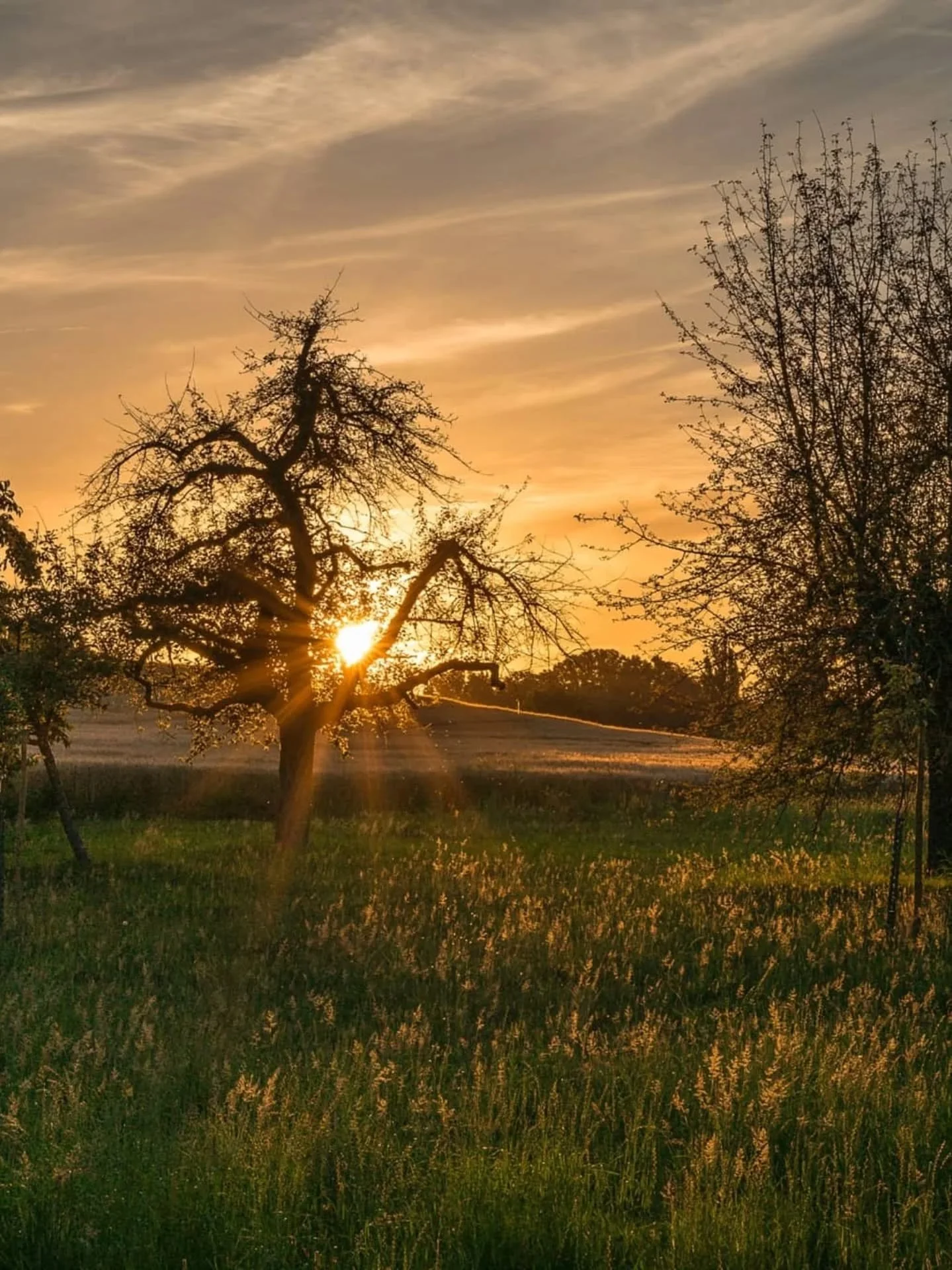 Sp&auml;tsummersonate
▪︎
Es herbstelet.
▪︎
#lyrikgalerie #lyrik #mundart #mundartverlag #depressionhelp #poetry #poesie #gedicht #herbst #frutigen #bern #bernerlyrik #song #writer #text #texte