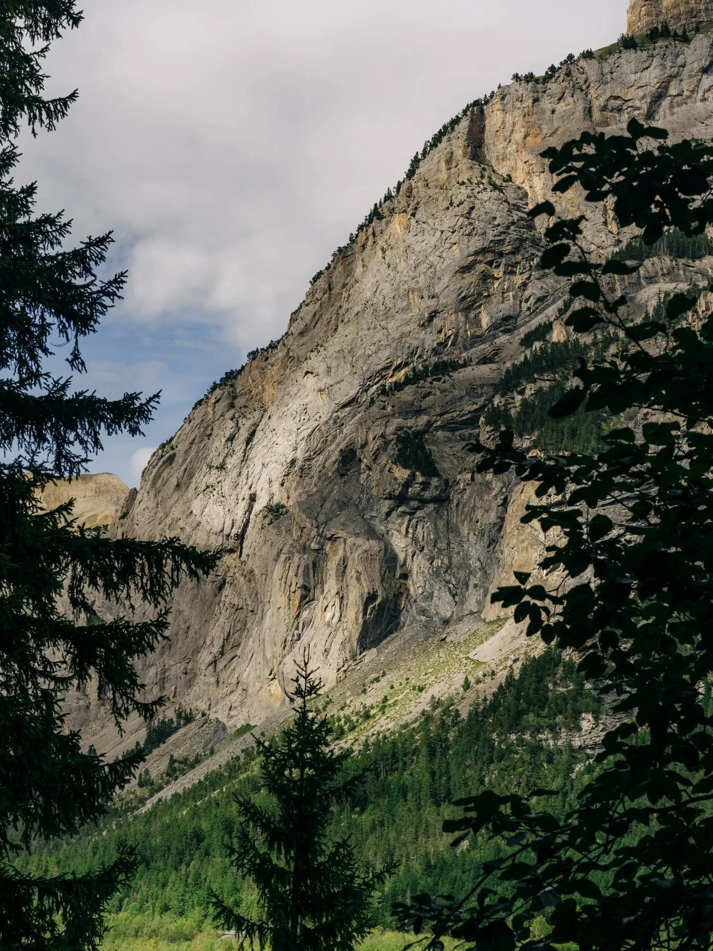 Es giit hoffnig❤️.
▪︎
#pr&auml;vention #lyrikgalerie #lyrischekunst #b&auml;rnd&uuml;tsch #lyrik #poesie #poet #autor #schriftsteller #kunst #depressionhelp #suicidehelp #suicide #movember