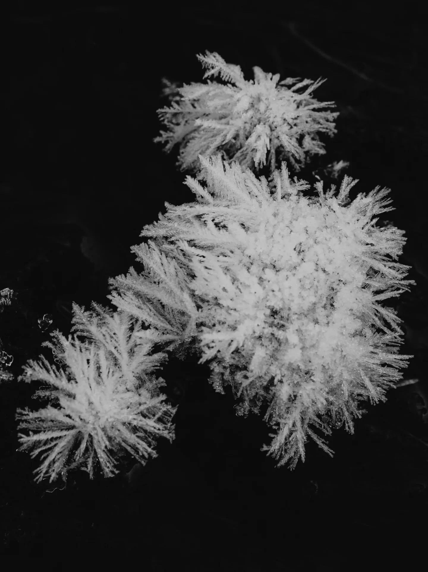 A Chuenis
▪︎
N&uuml;ie Text. 
▪︎
#lyrikgalerie #marcoodermatt #lyrik #chuenis #adelbodenlenkd&auml;nk