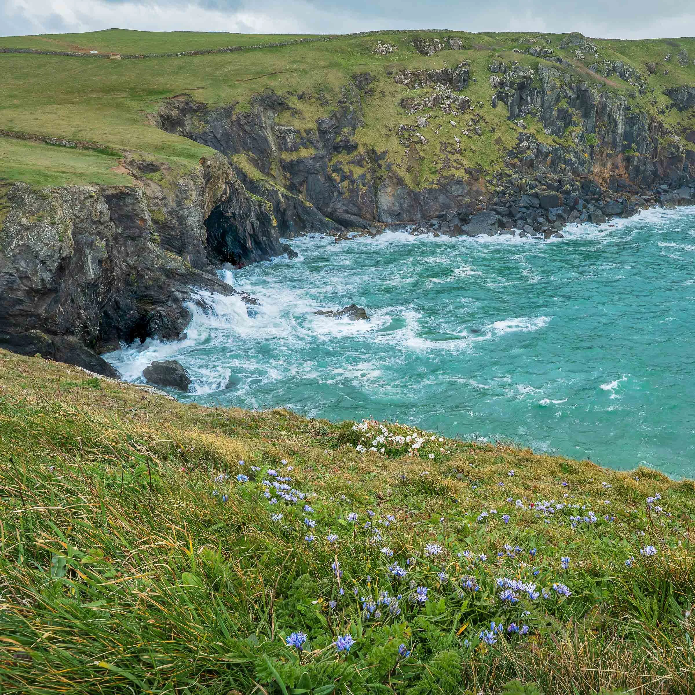 Cornwall Workshop 2027 sml-60.jpg