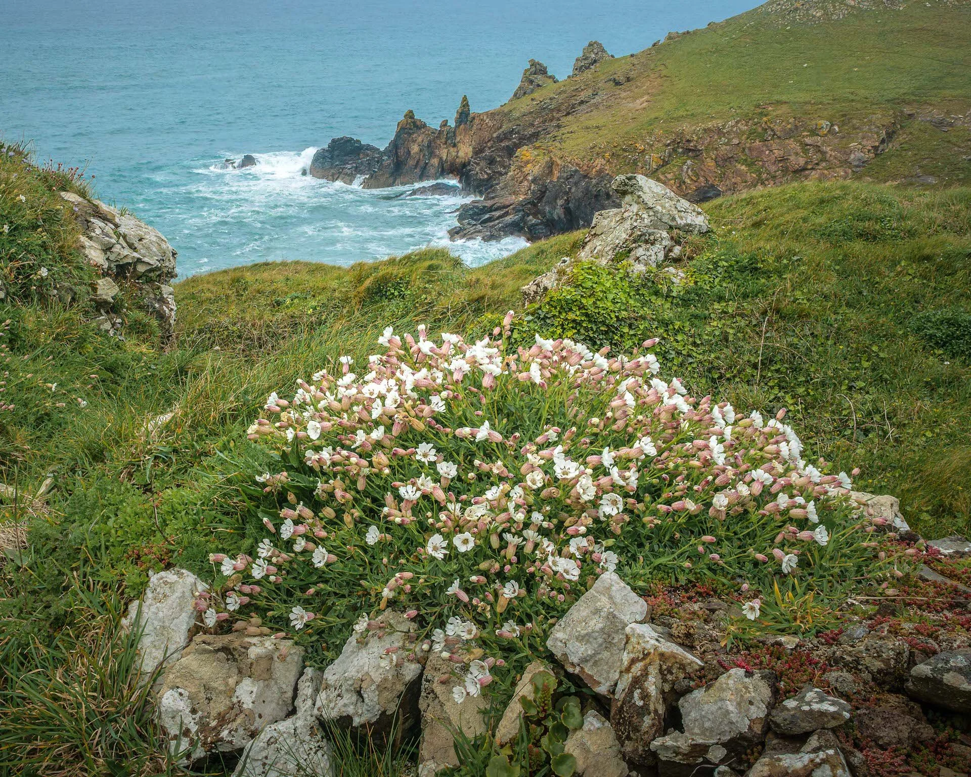 Cornwall Workshop 2027 sml-40.jpg