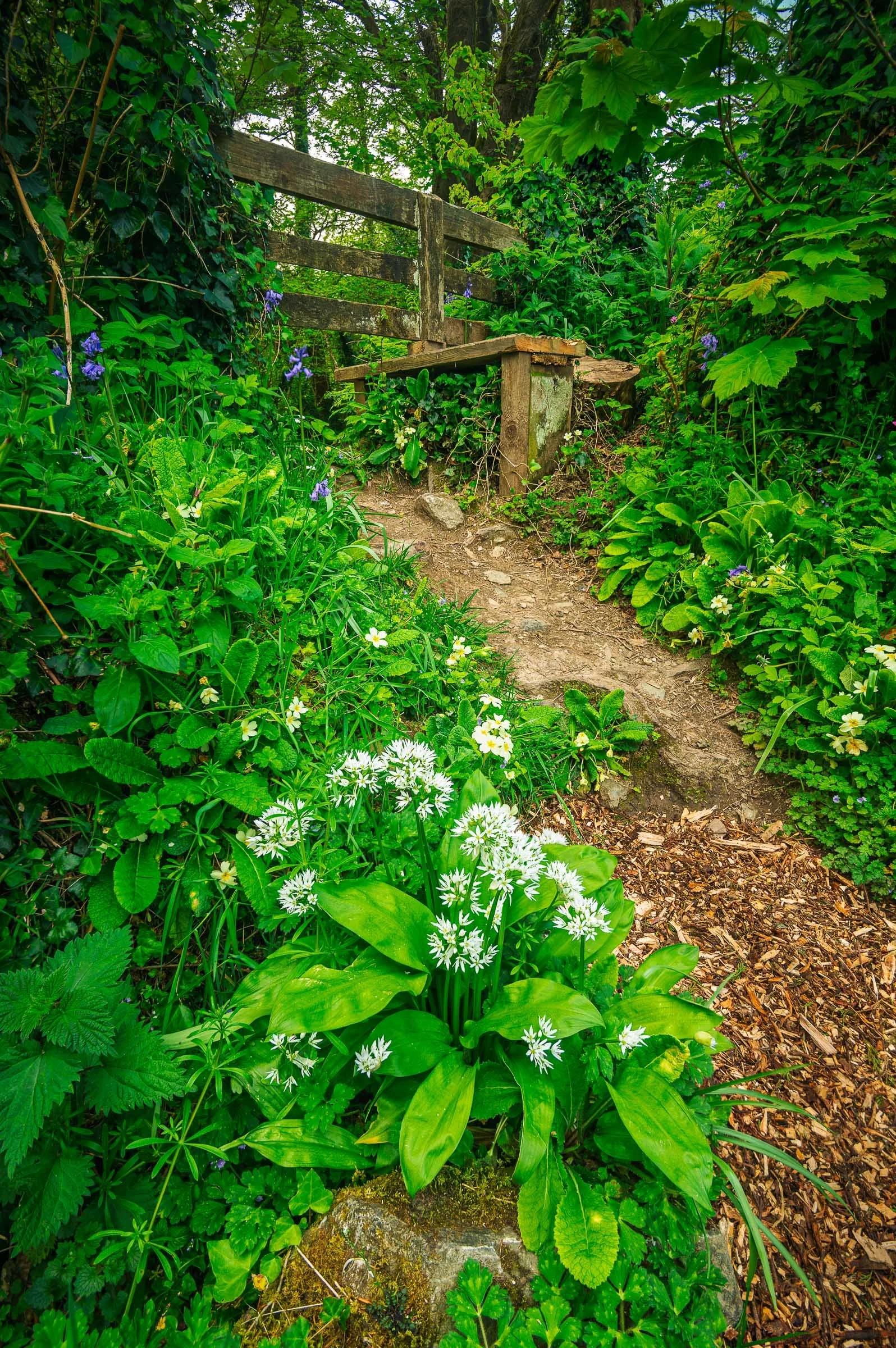 Cornwall Workshop 2027 sml-6.jpg