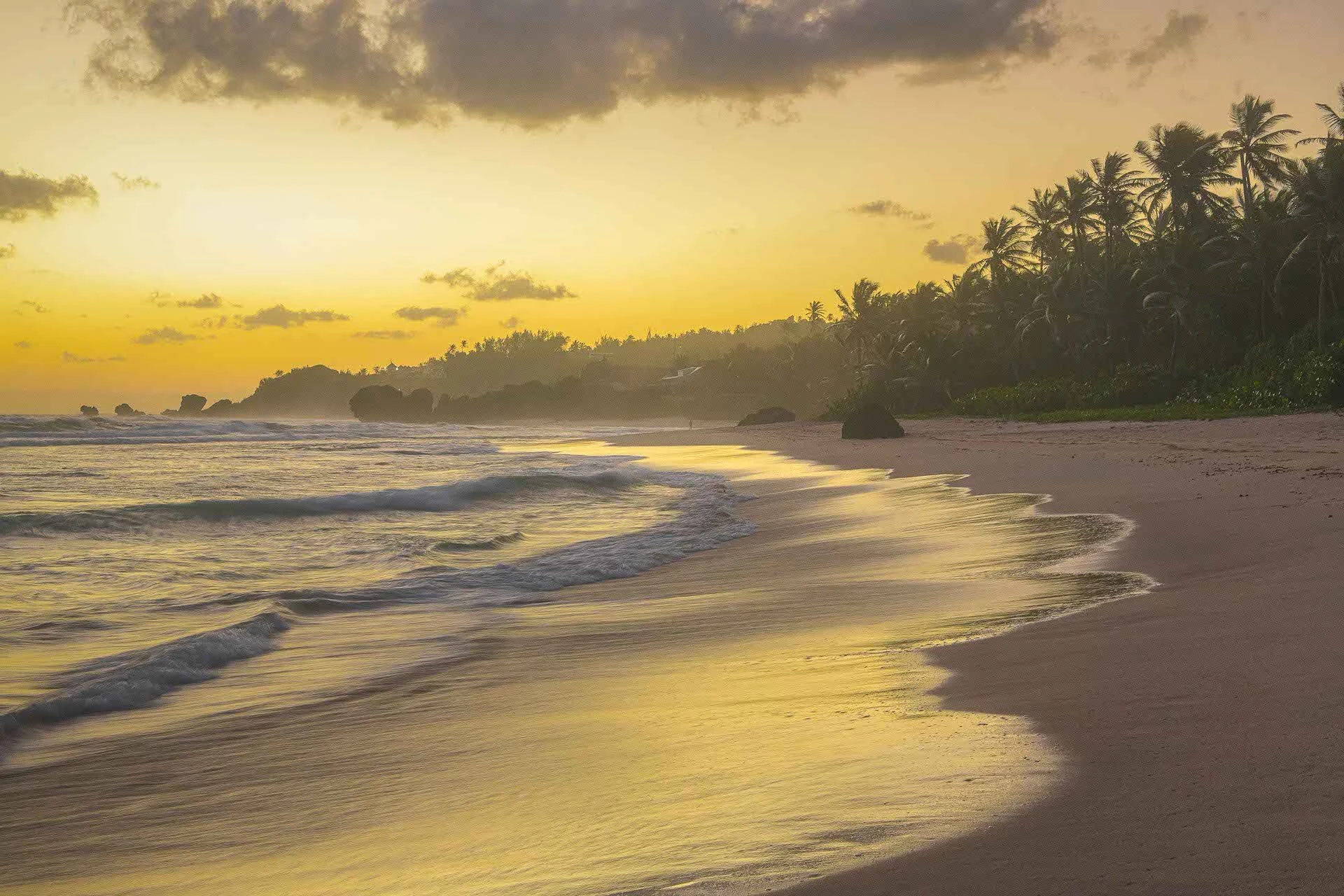 Golden Morning East Coast Barbados @JonRangerPhotography-dynamicranger.com.jpg