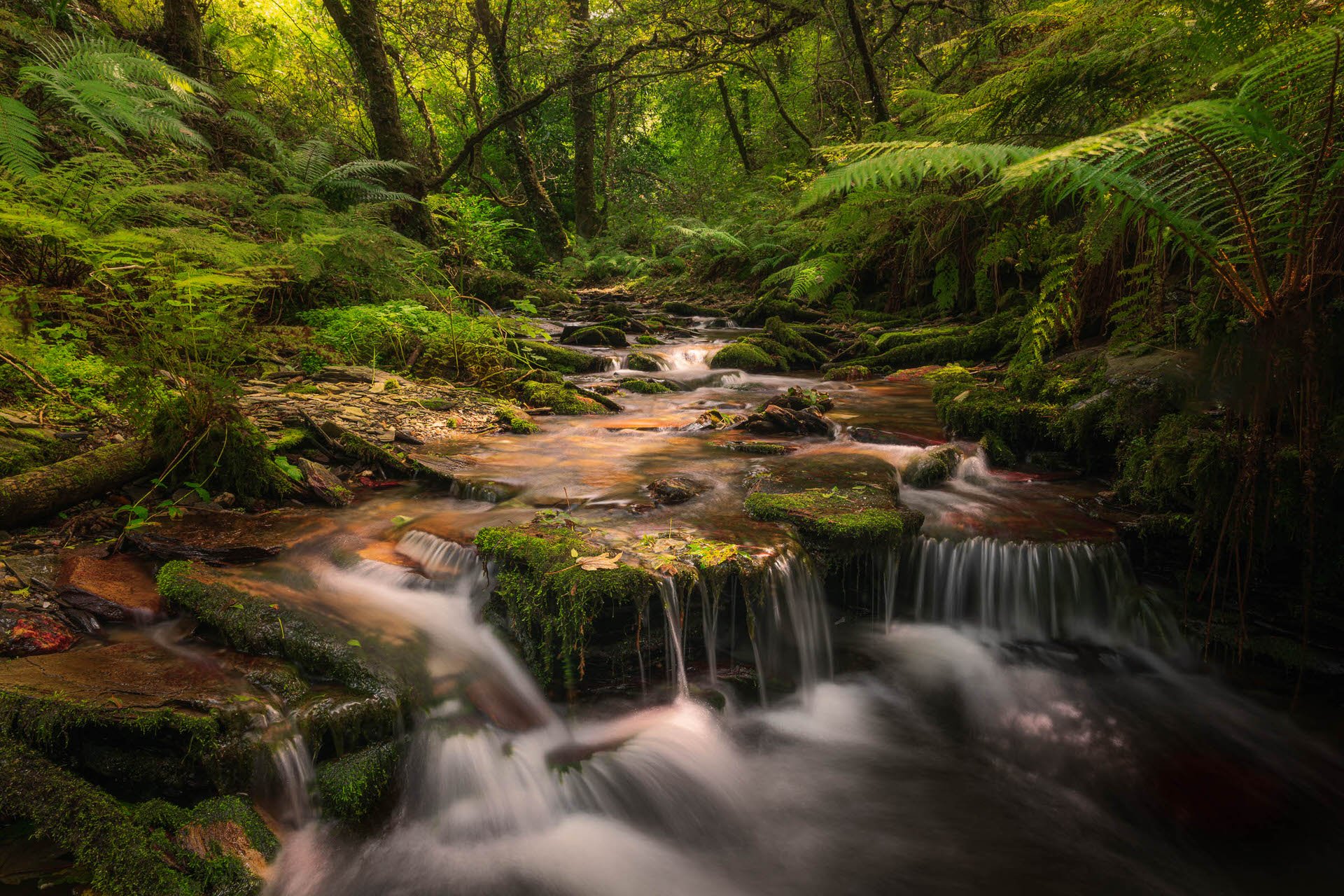 Cornwall Workshop 2027 sml-46.jpg