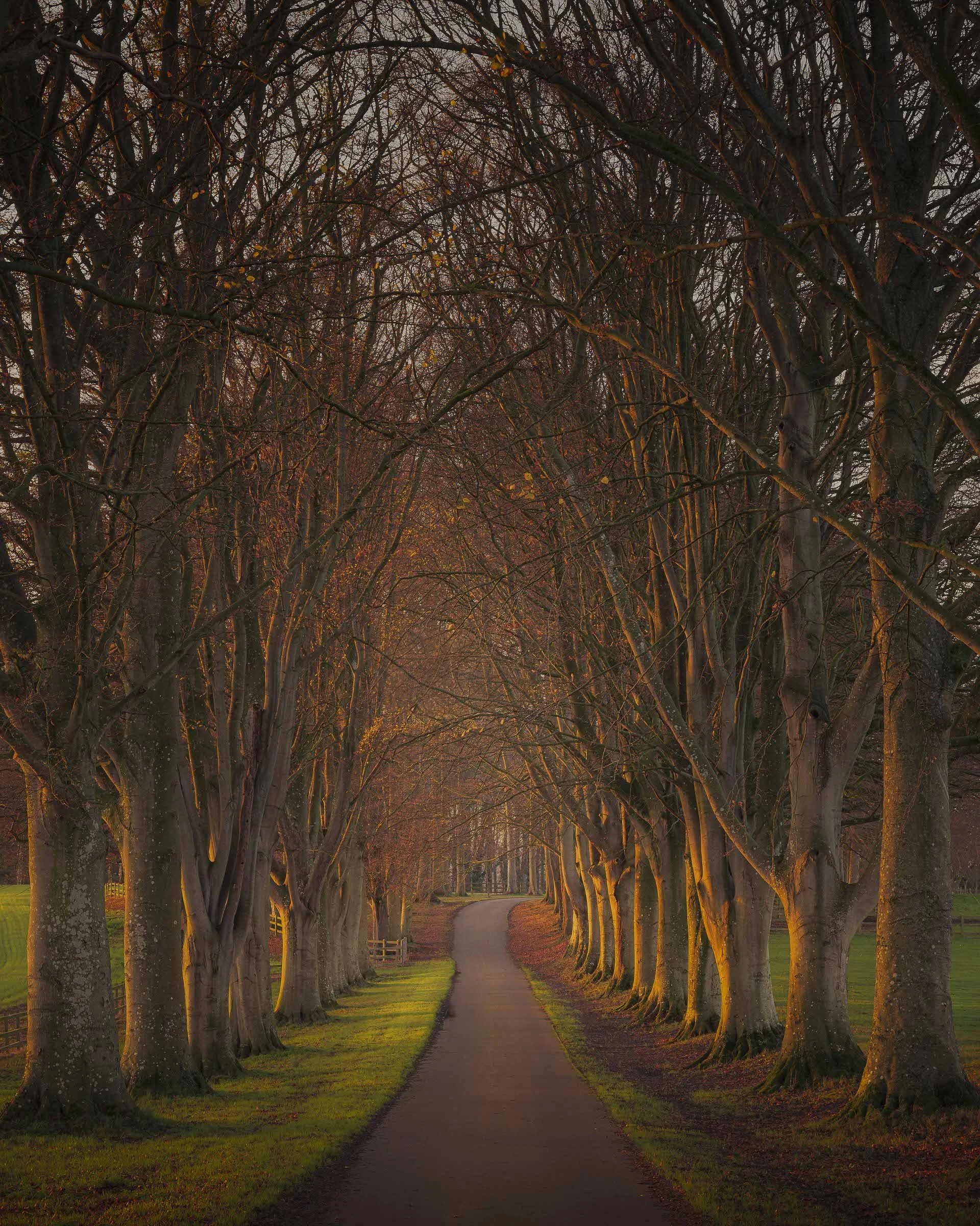 Hinton Beeches @JonRangerPhotography-dynamicranger.com.jpg