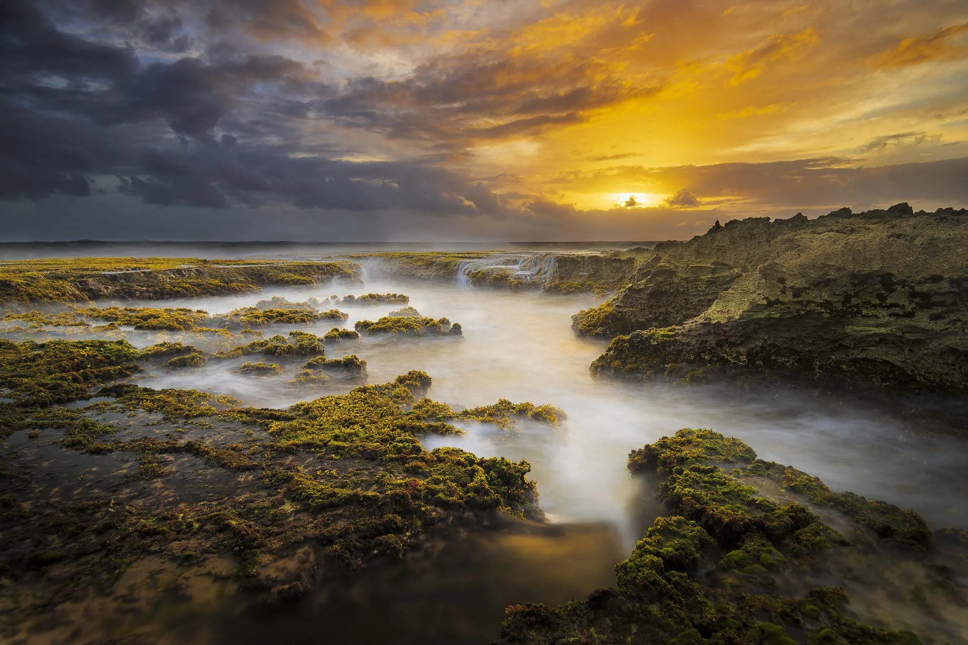 Little Bay Dawn Summer Poppy - Barbados @JonRangerPhotography-dynamicranger.com.jpg