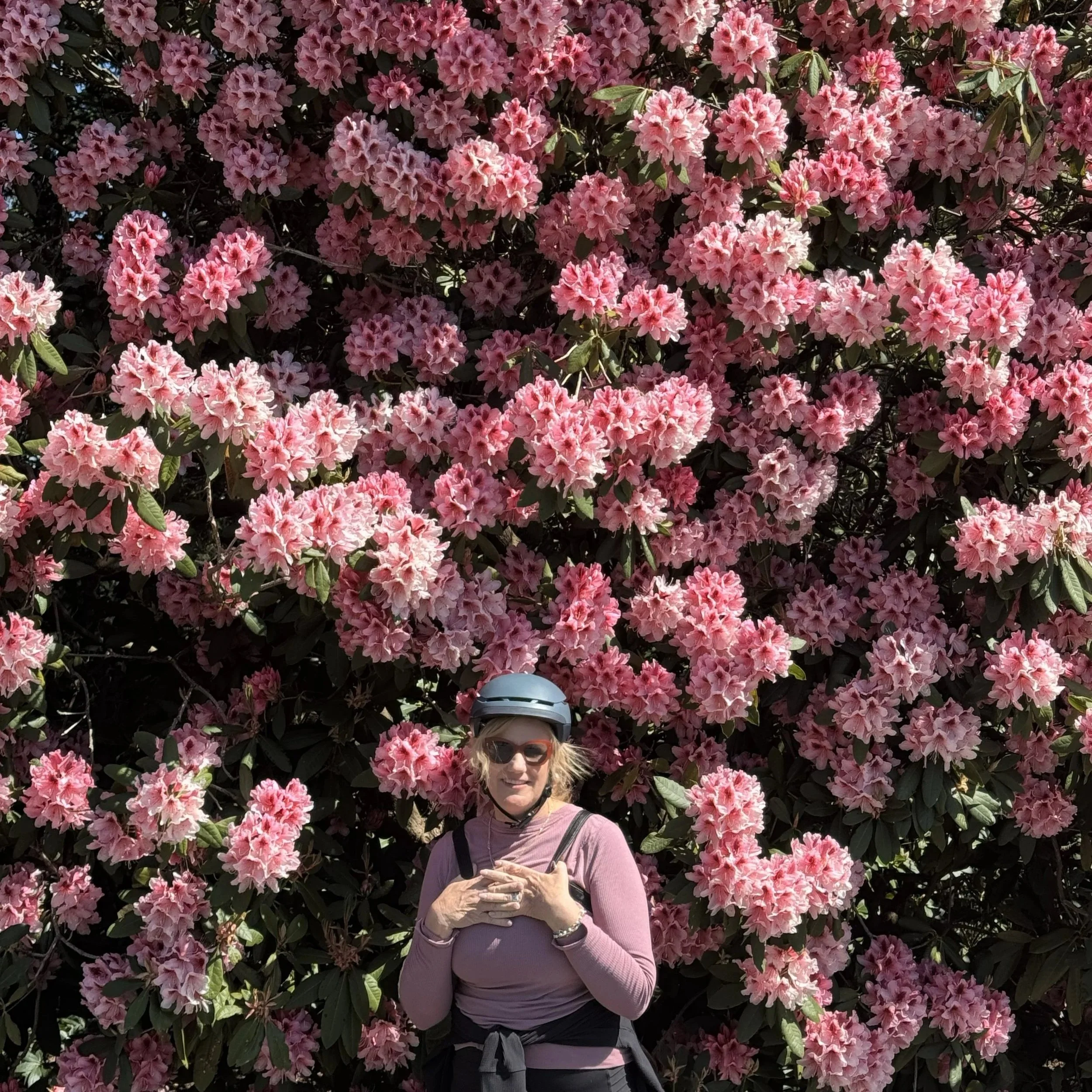Owner Stephanie in Victoria, British Columbia amongst Rhododendron flowers